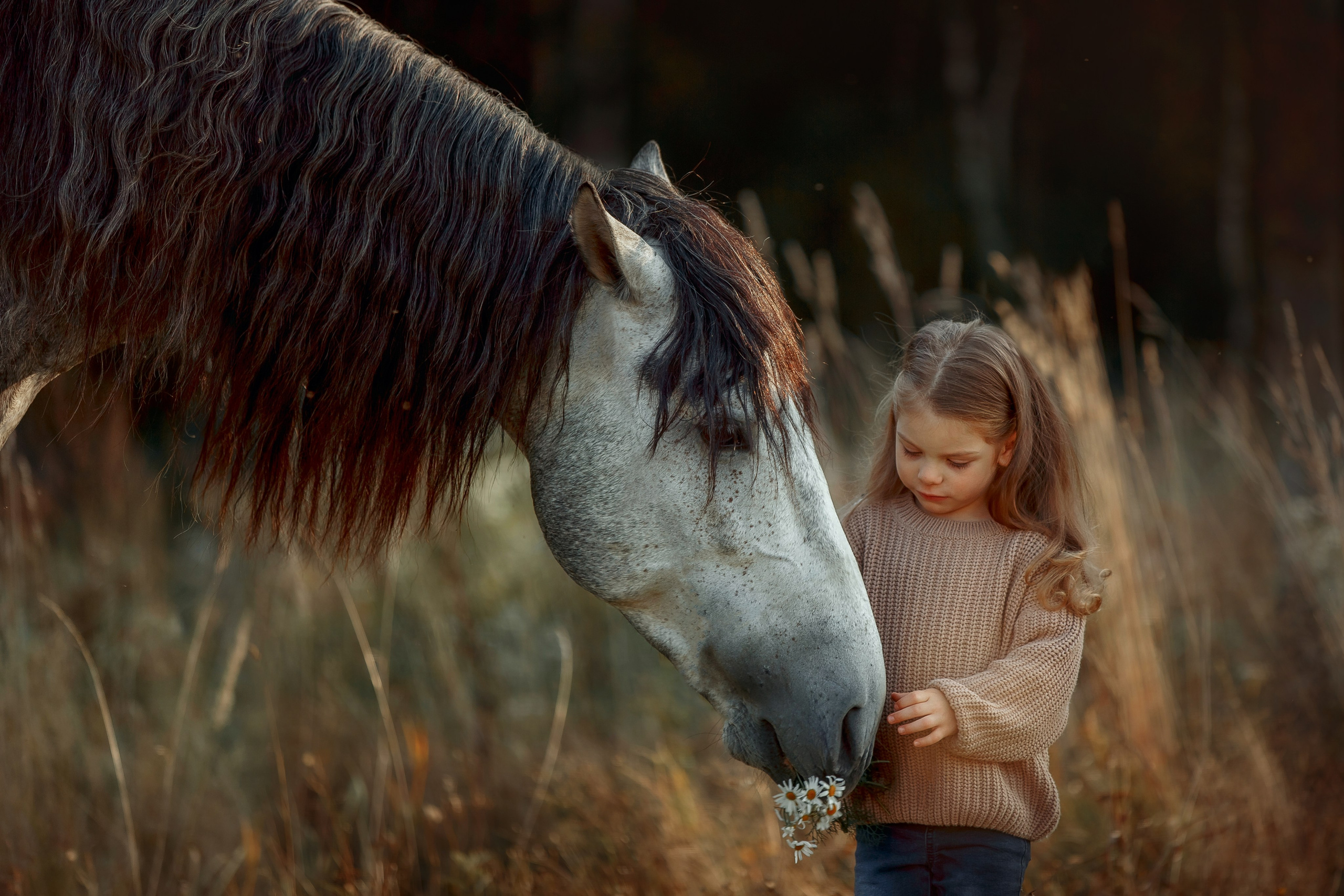 Детская конная съёмка. Детская Конная фотография в Москве Юлия Шепелева