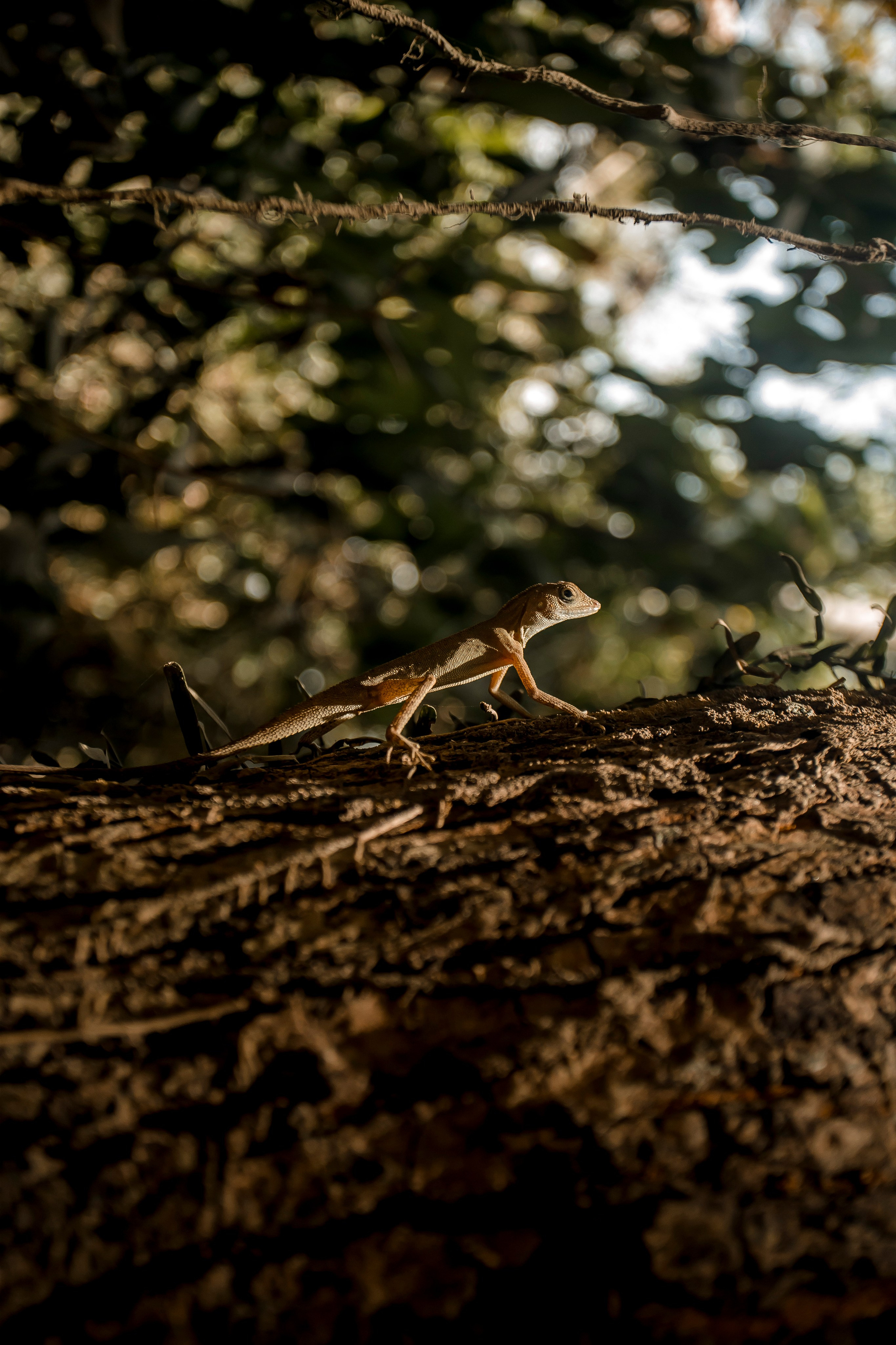 Andaman Islands, Part2. Art Photographer