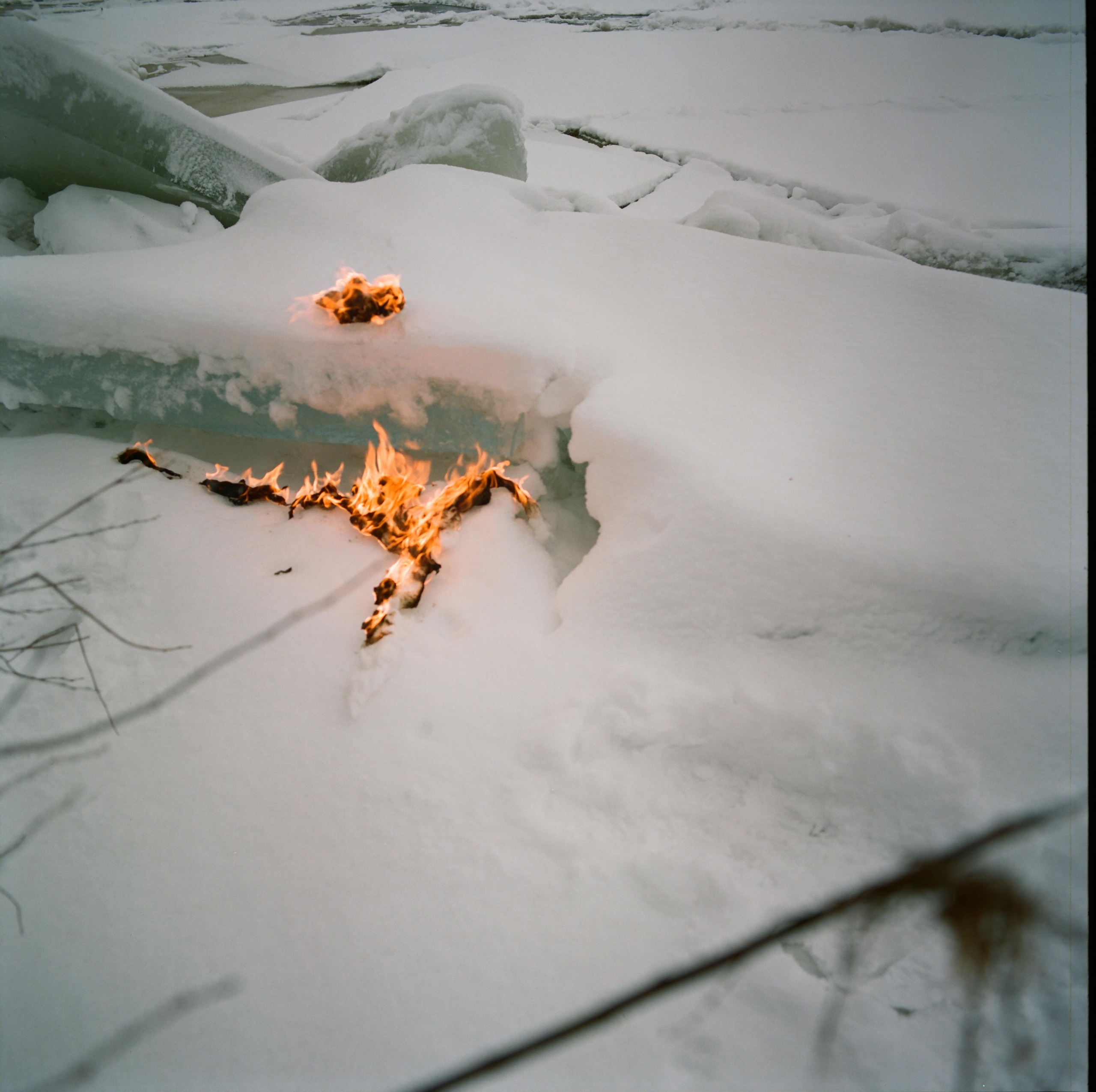 Rotten apple (ongoing). Lisa Mukhina