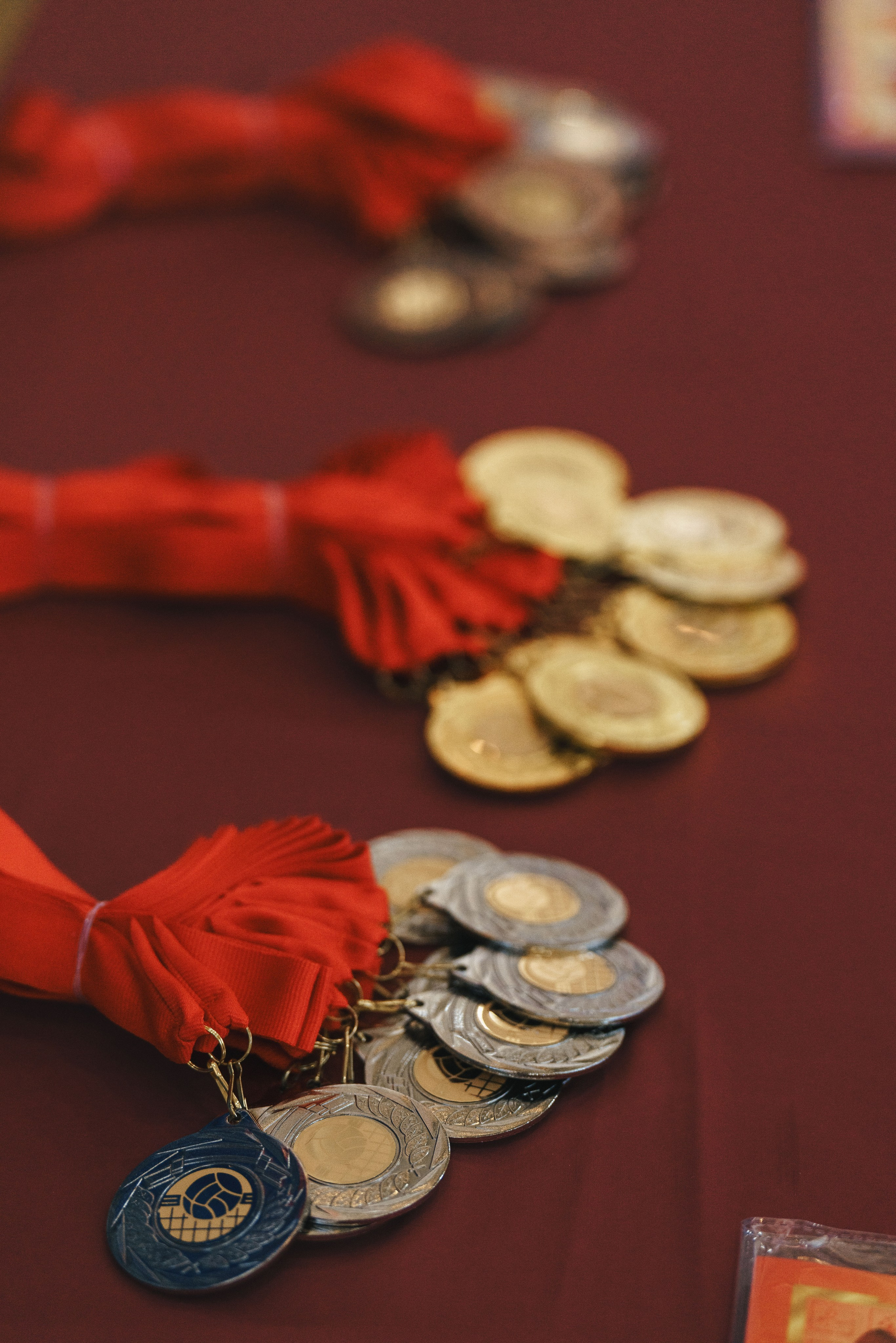 Волейбол торус. Фотограф-анималист в Санкт-Петербурге