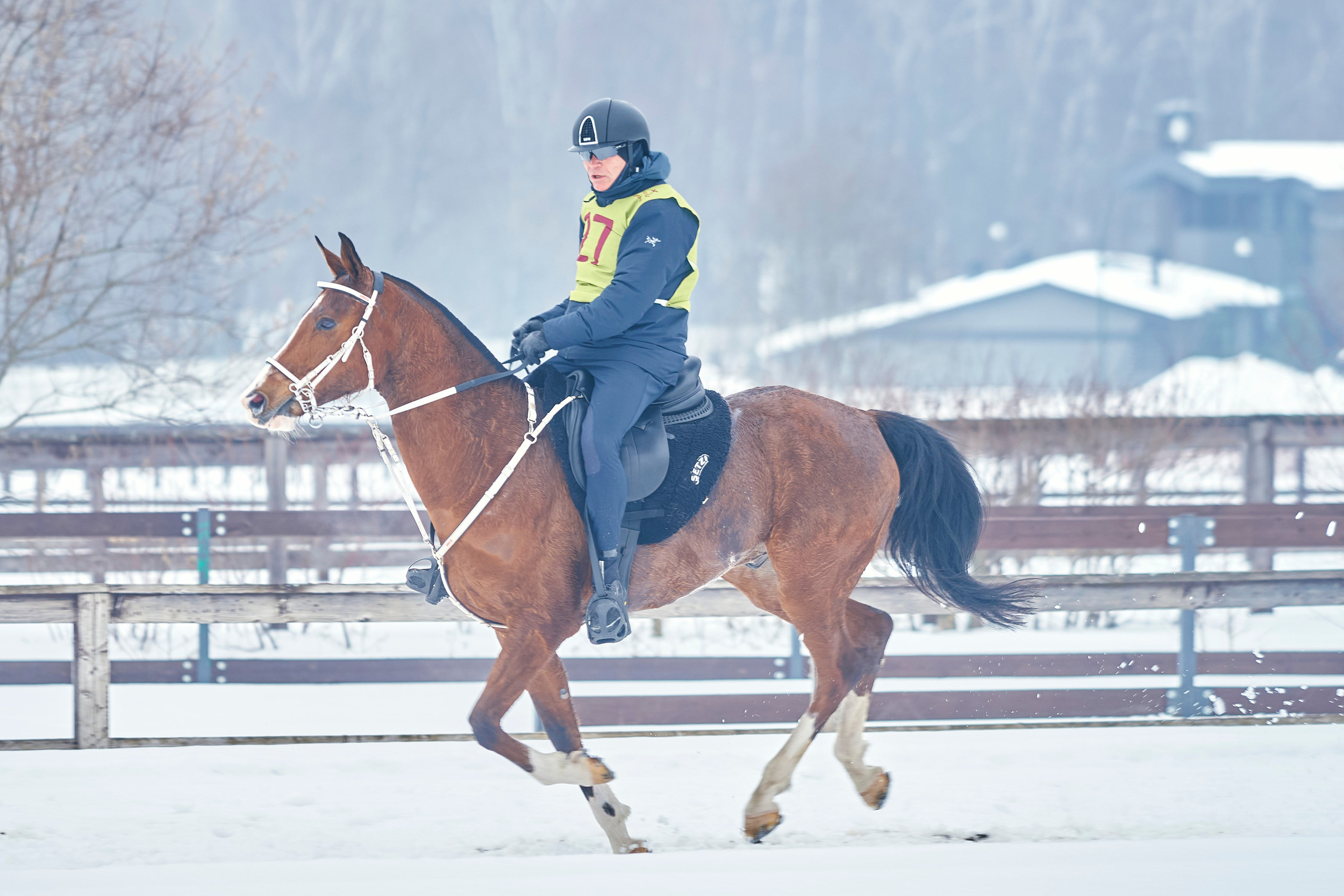 HORSE RACING. Фотограф Наталья Леонова