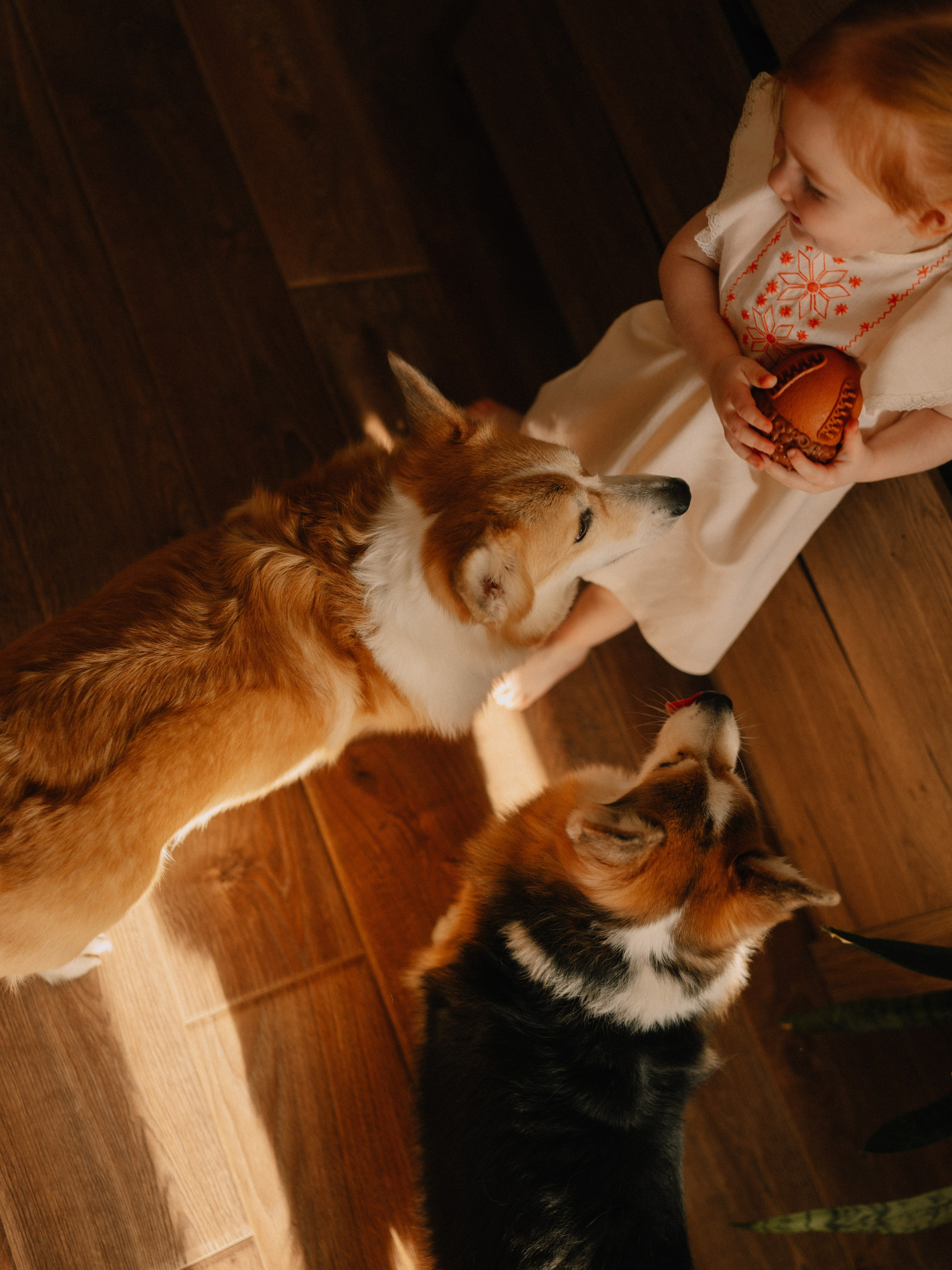 Фотограф Ника Лиепа