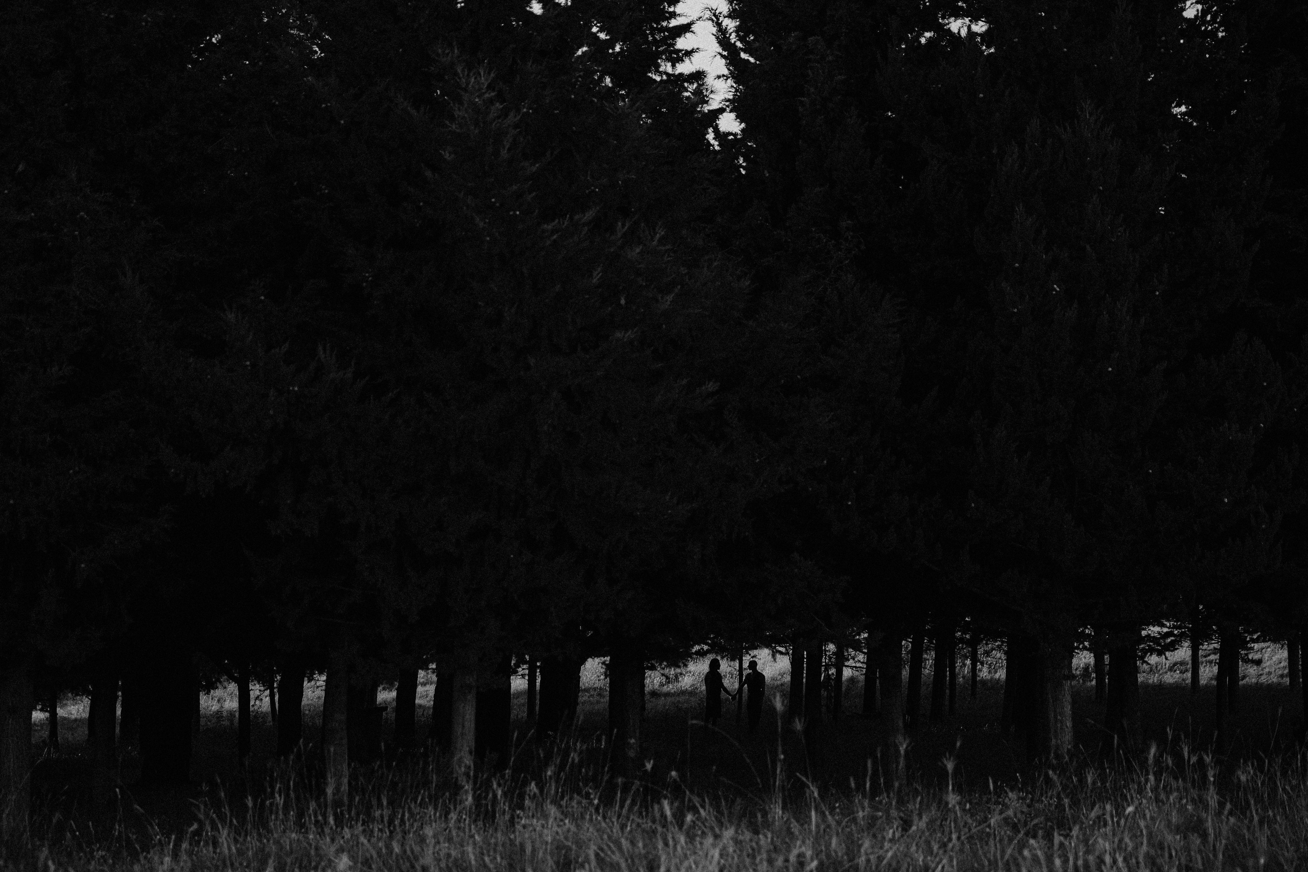 Парная сфотосессия в Грузии Тбилиси два парня нетрадиционная. Свадебный фотограф Грузия Тбилиси