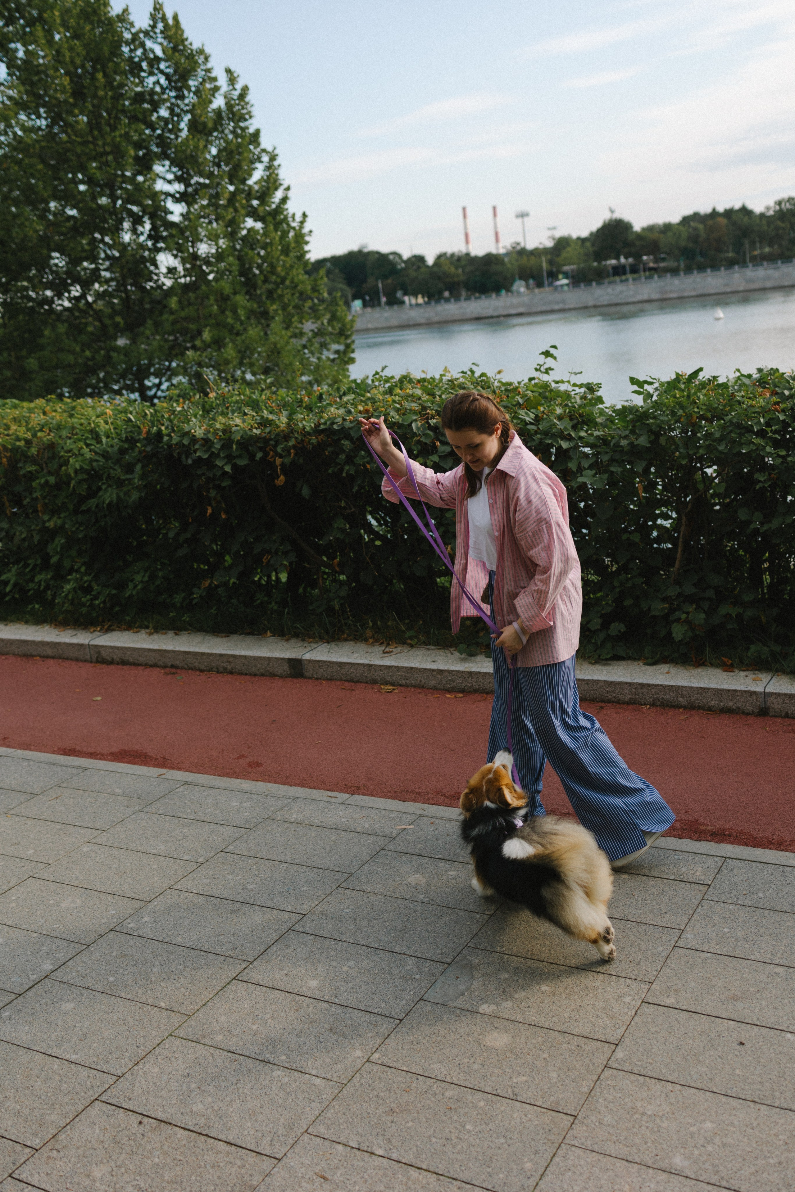 Мишель и Влада. Фотораф — анималист Мария Шистка