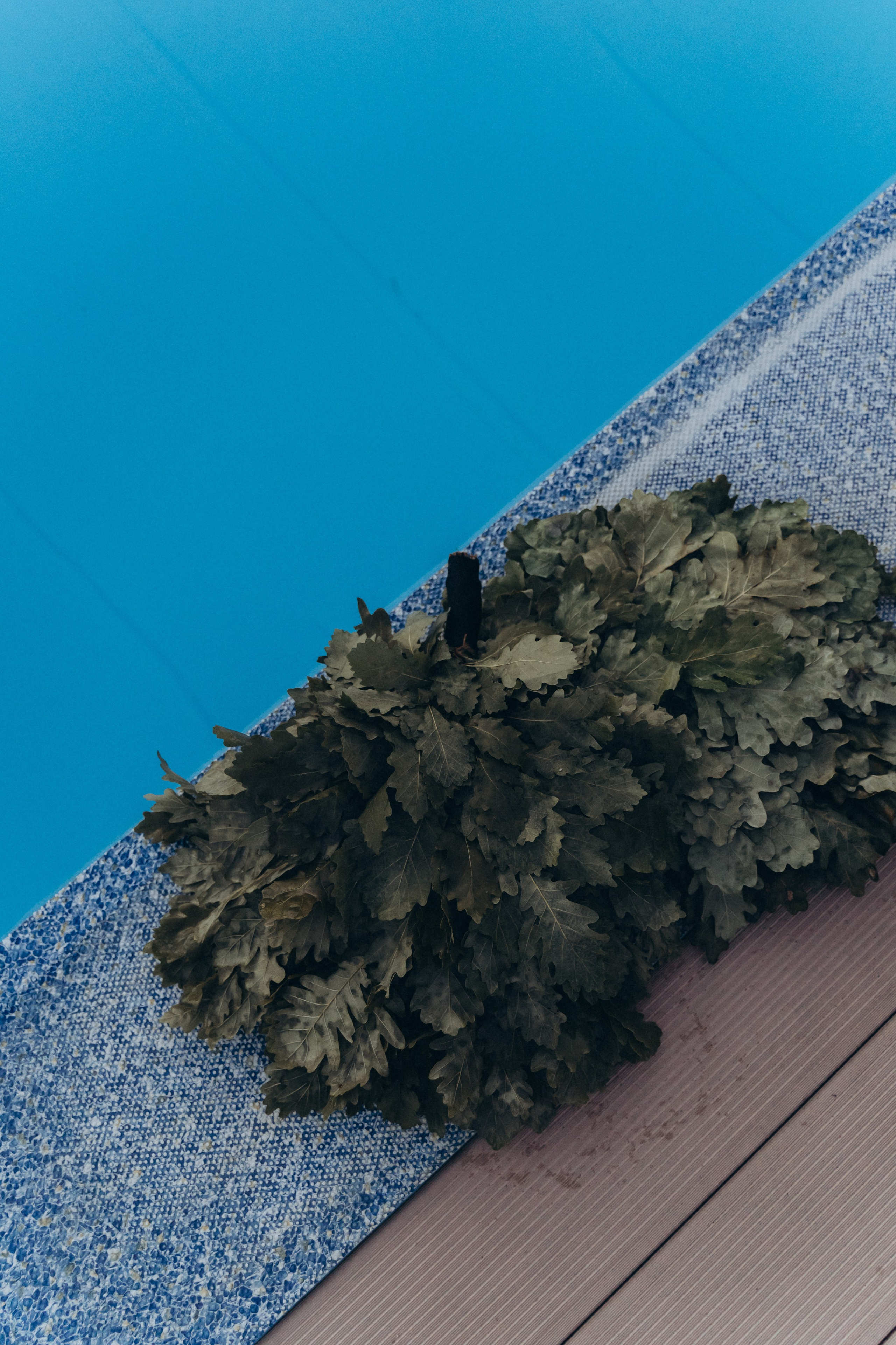 Пар-мастер Елена. Семейный фотограф в Саратове