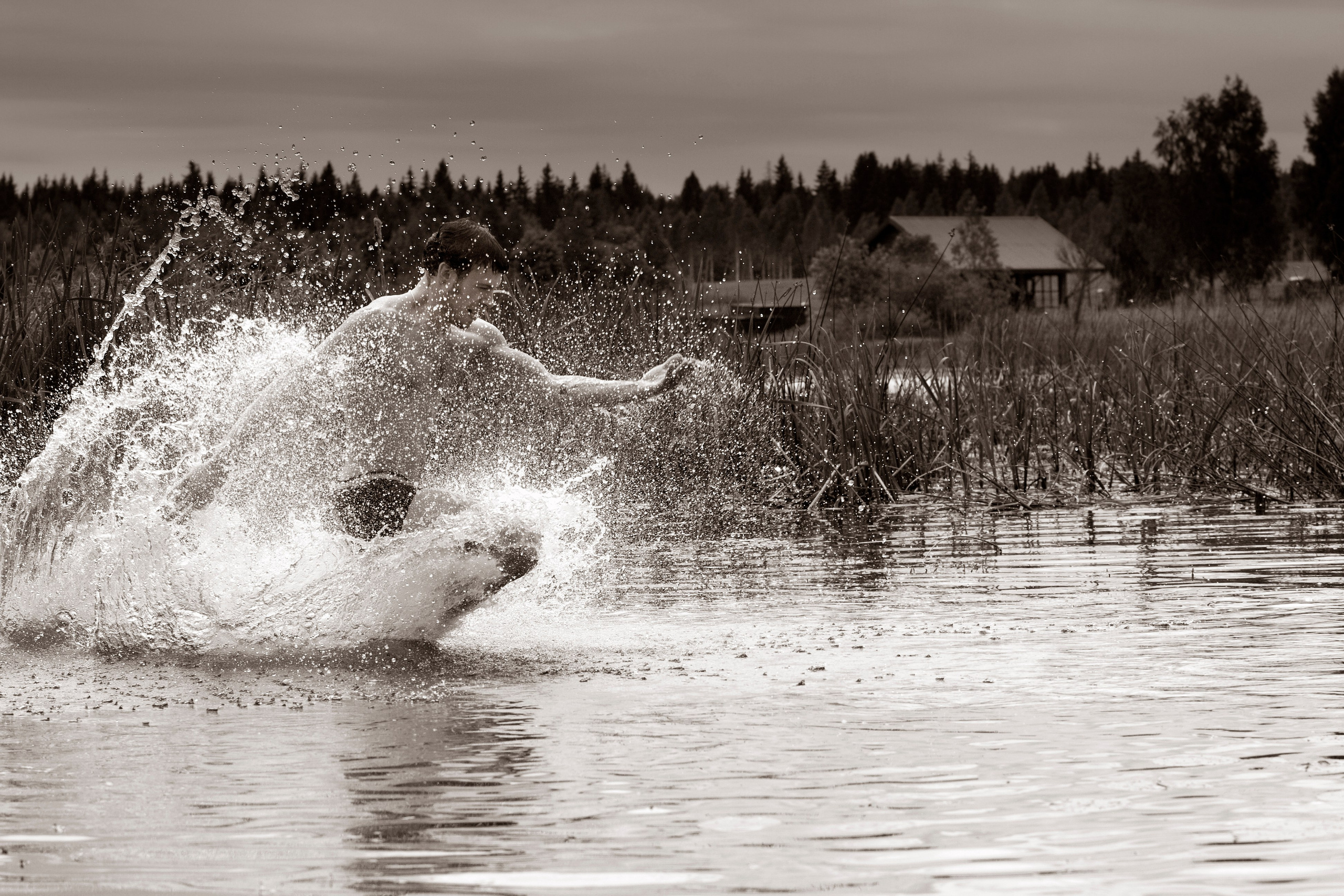 Жанр. Фотограф Лагутин Анатолий