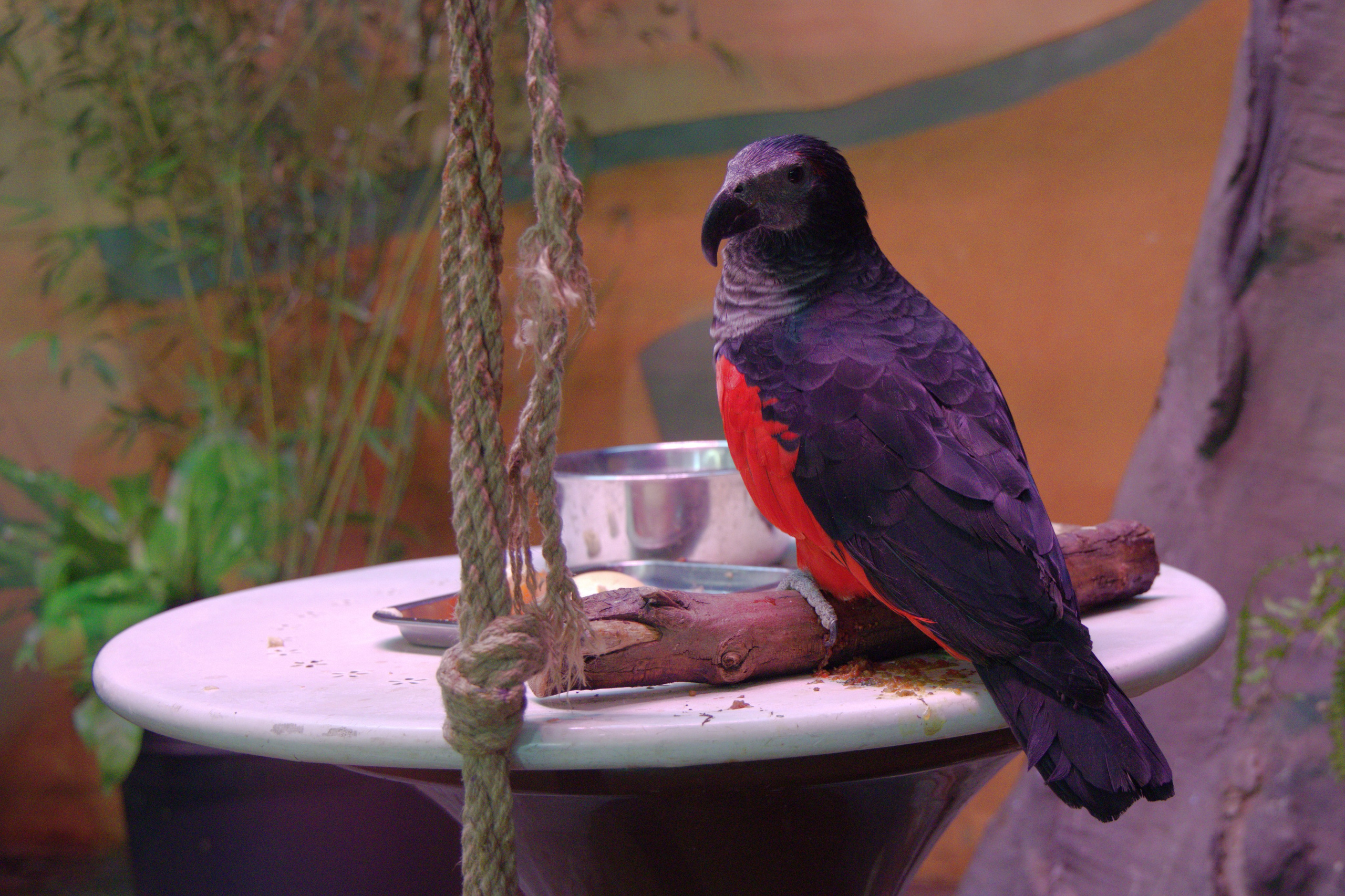 ЗООПАРК. ФОТОГРАФ В МОСКВЕ СТАНИСЛАВ КОБЗЕВ