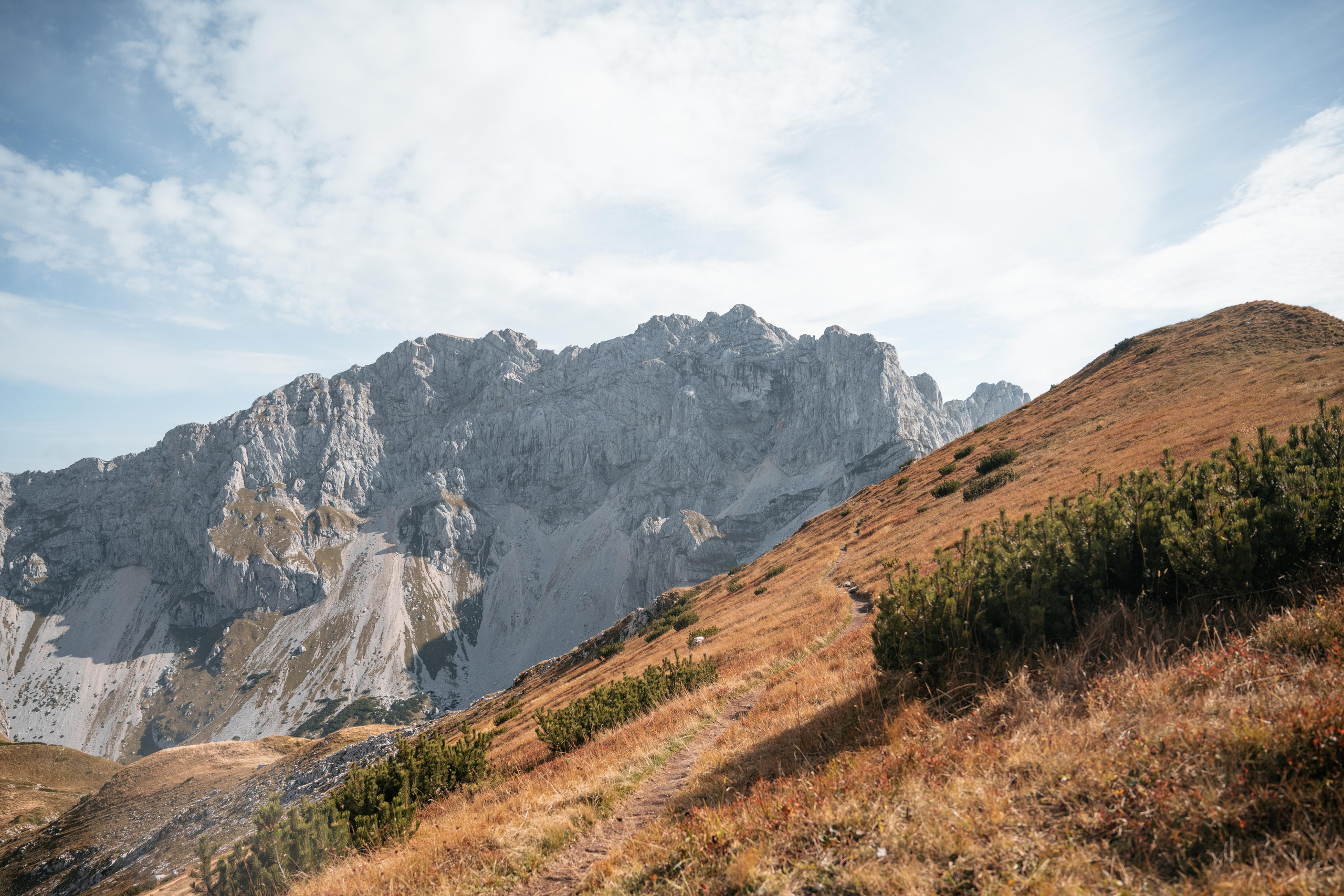 ПРУТАЖ. ЧЕРНОГОРИЯ. Фотограф в Белграде Чугреева Елена