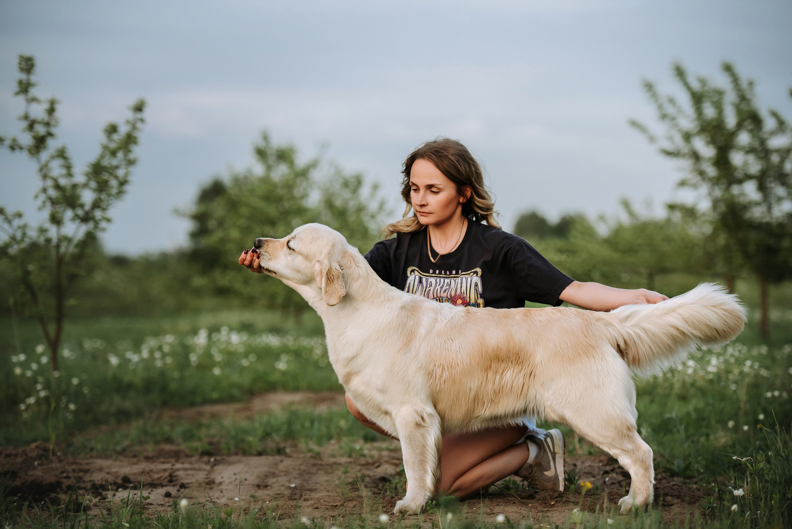 Собаки уличные. Фотограф Диана Оленина Красноярск / Братск