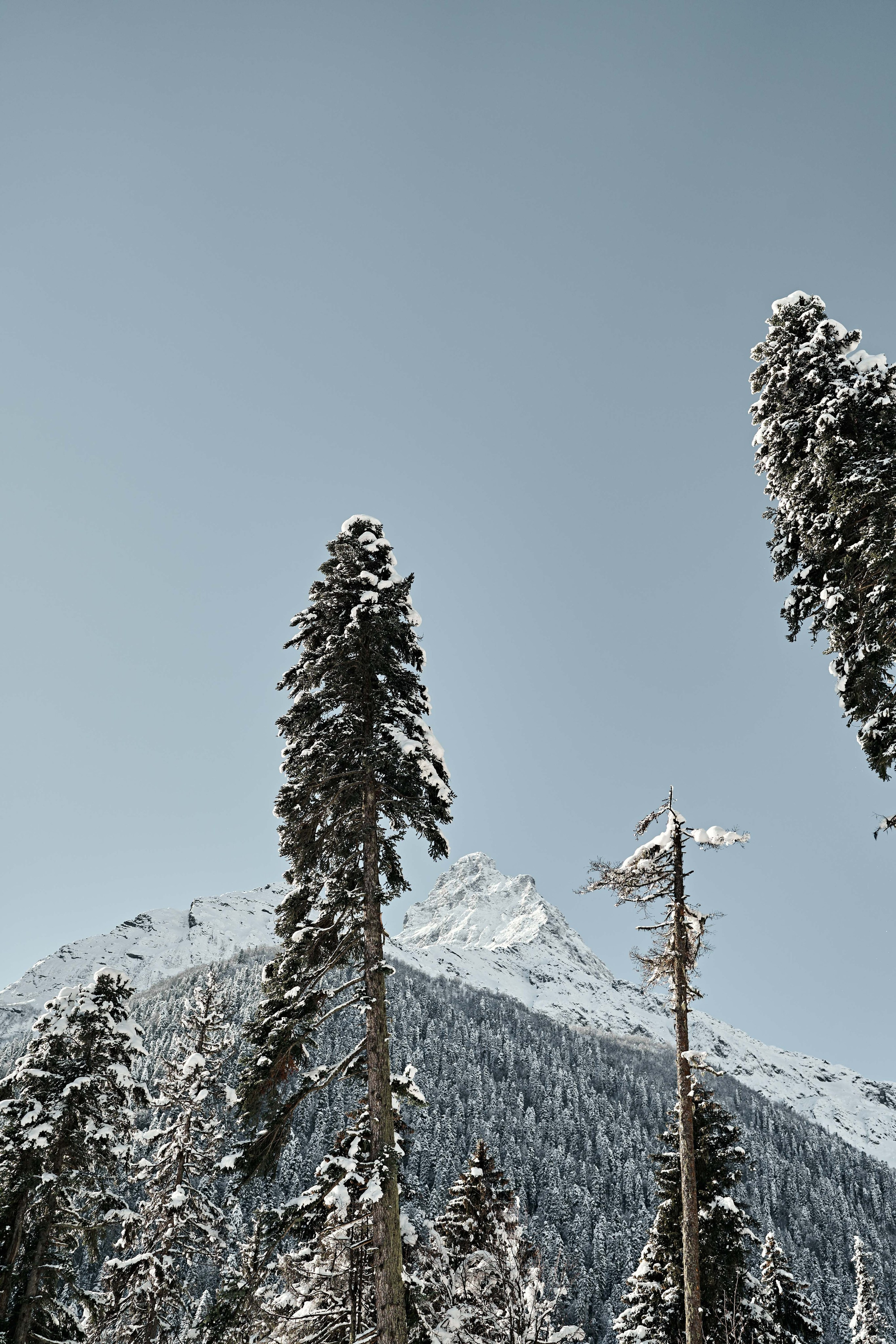 Блог. Фотограф и видеограф Елена Хмелевская