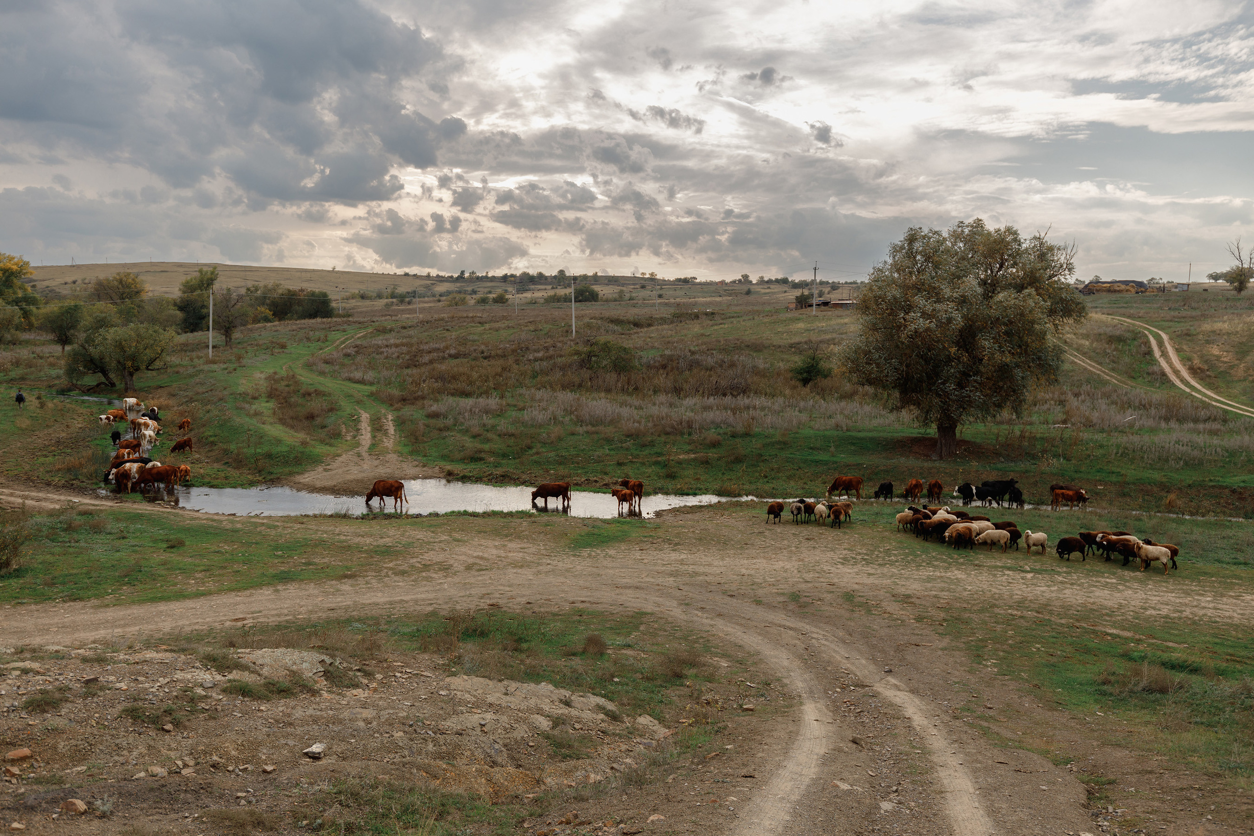 недорогой фотограф Каменск-Шахтинский