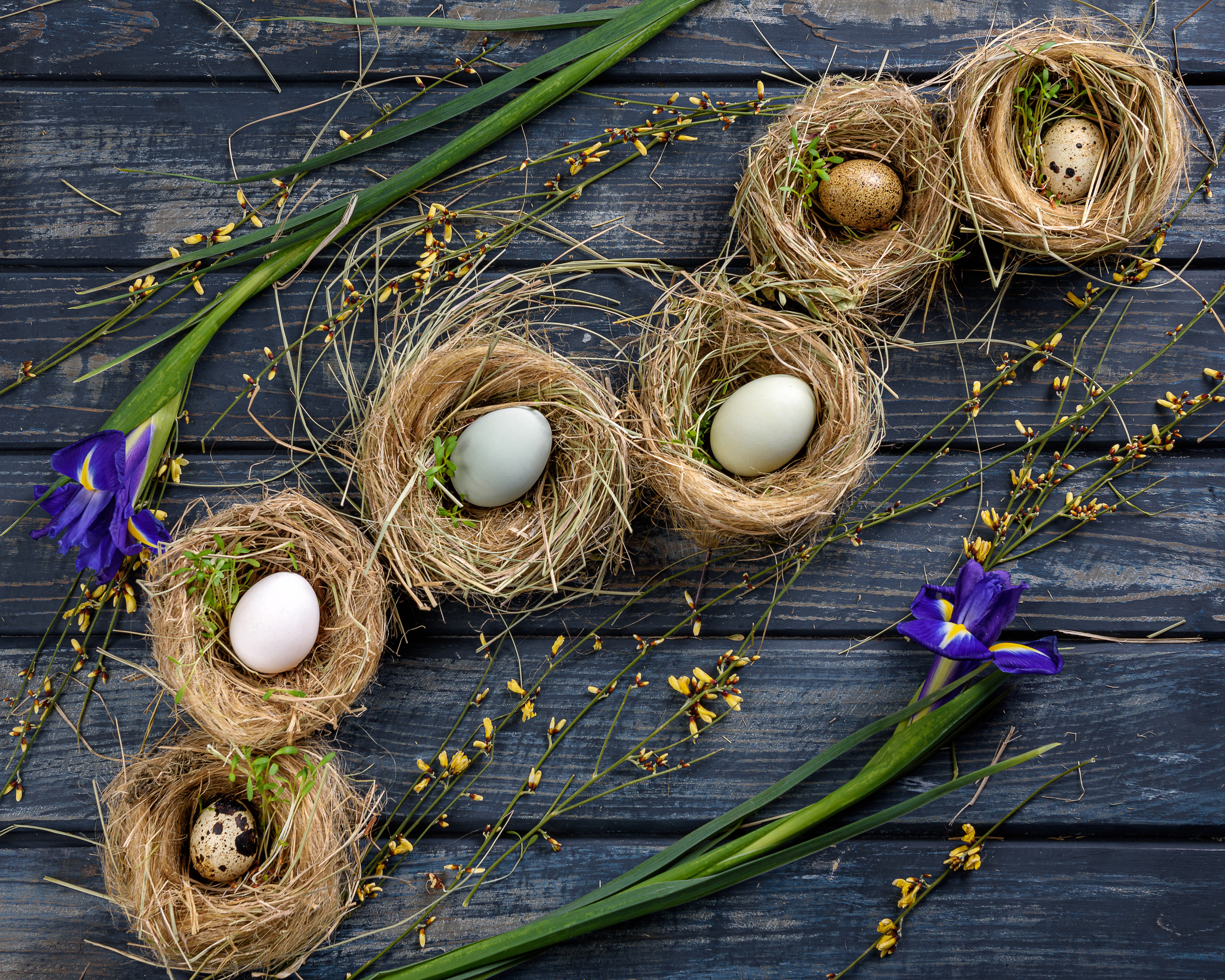 Съемка еды и напитков. Фотограф в Петропавловске