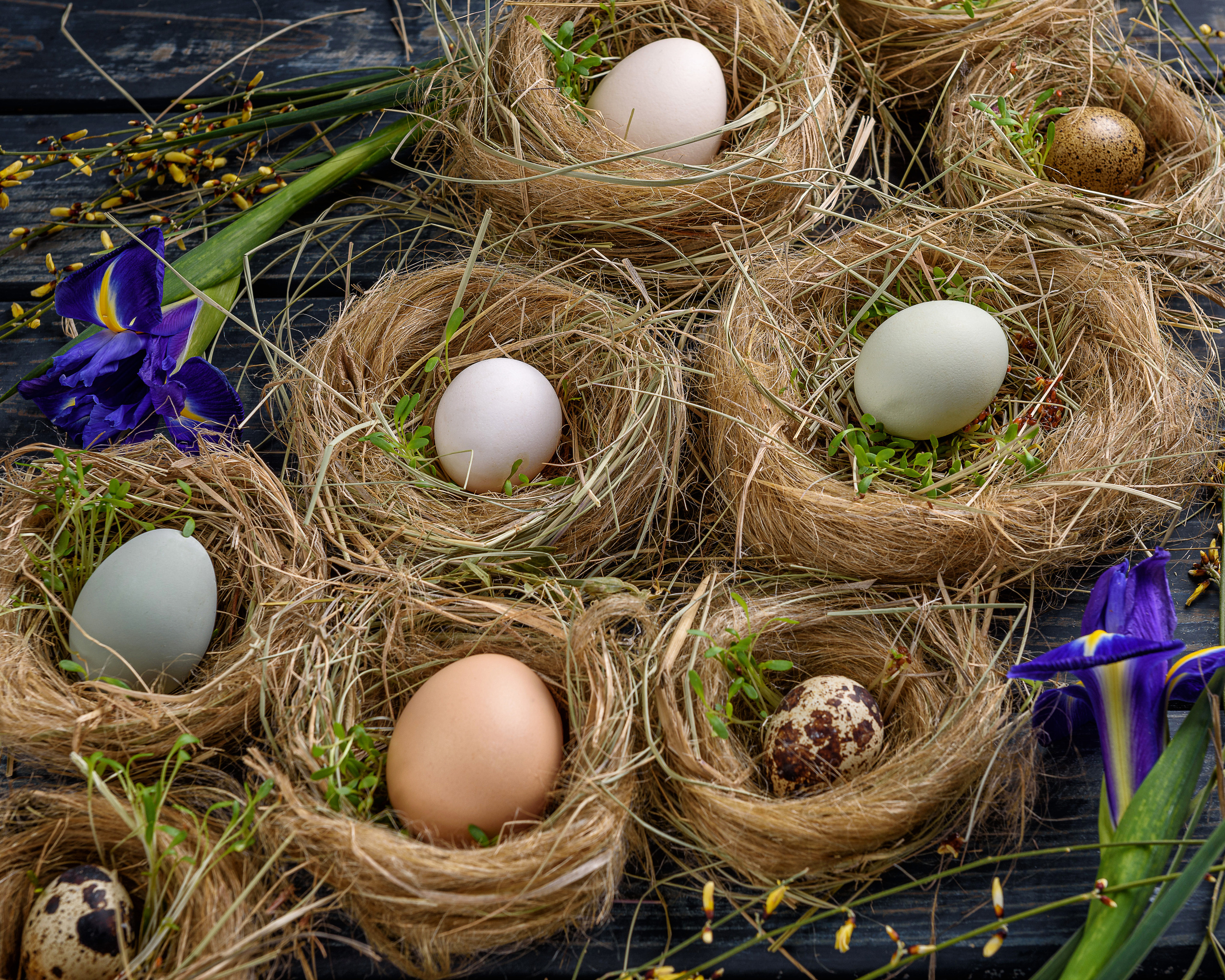 Съемка еды и напитков. Фотограф в Петропавловске