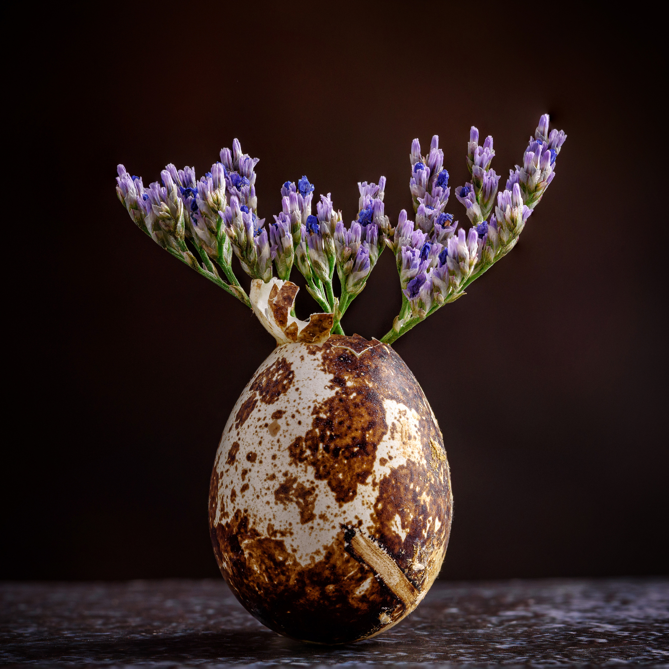 Съемка еды и напитков. Фотограф в Петропавловске