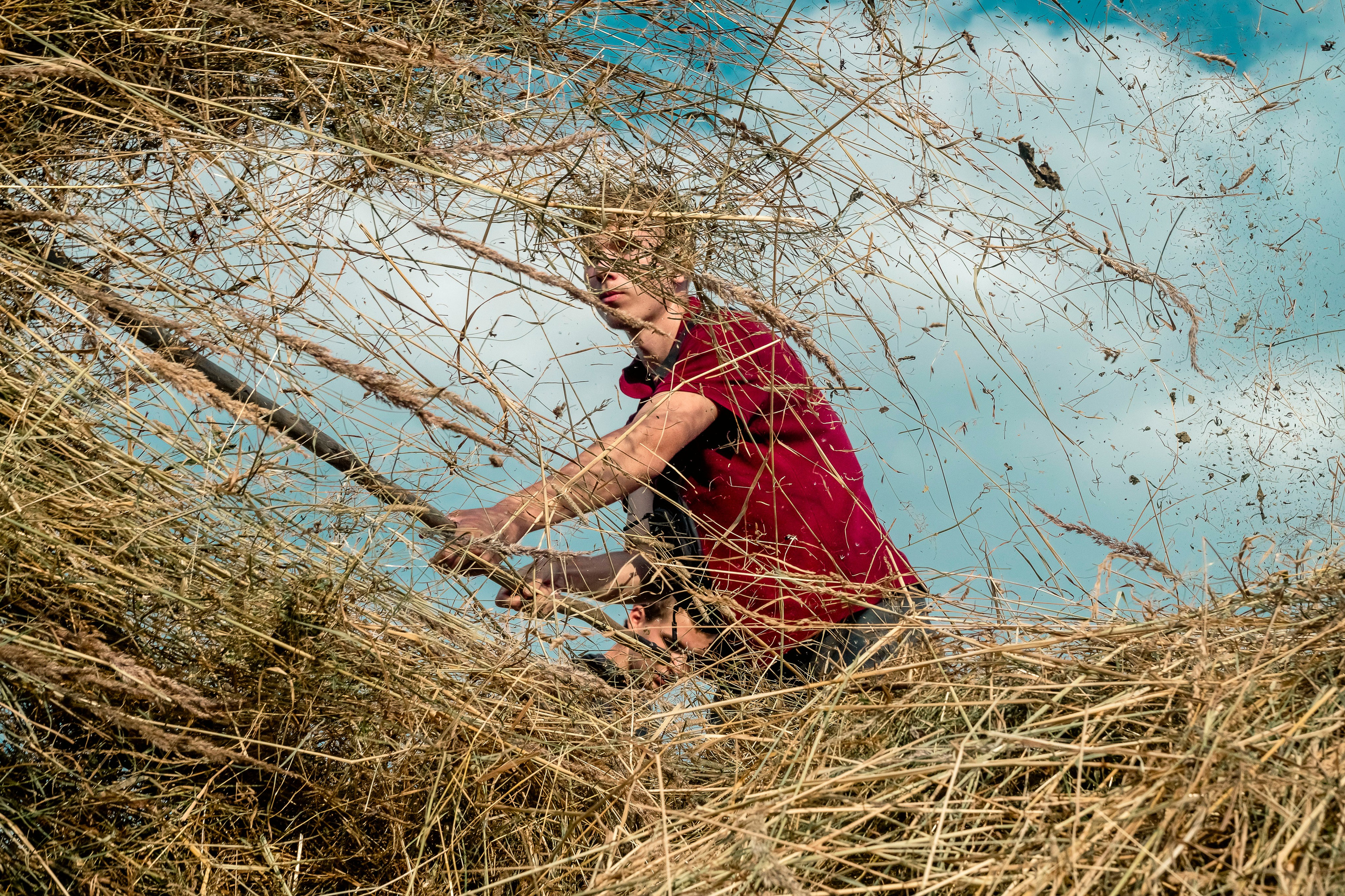 Цветные фотографии. Фотографии Лены Соколовой