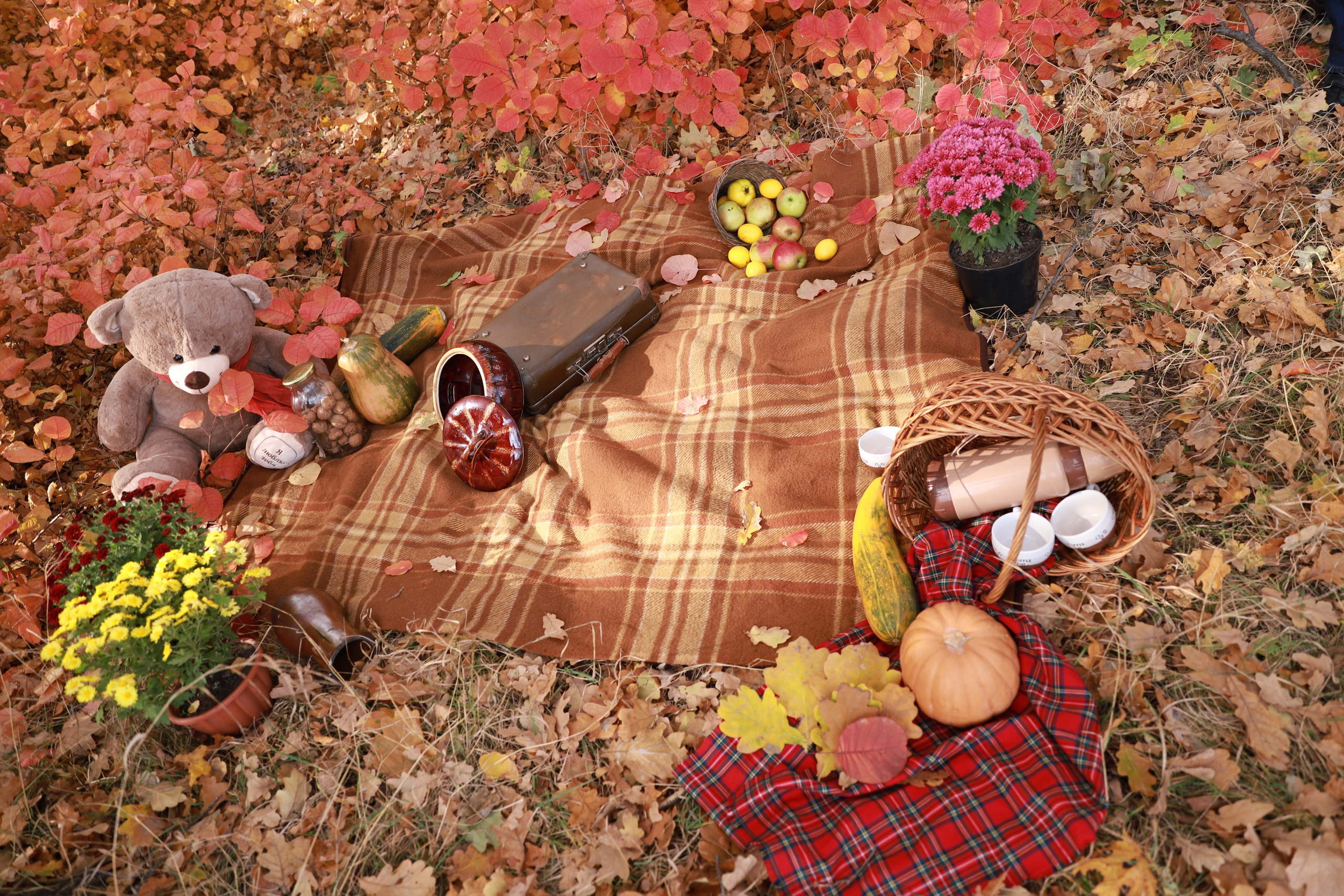 Самайн. Яна Чхан — Фотограф в Донецке и не только