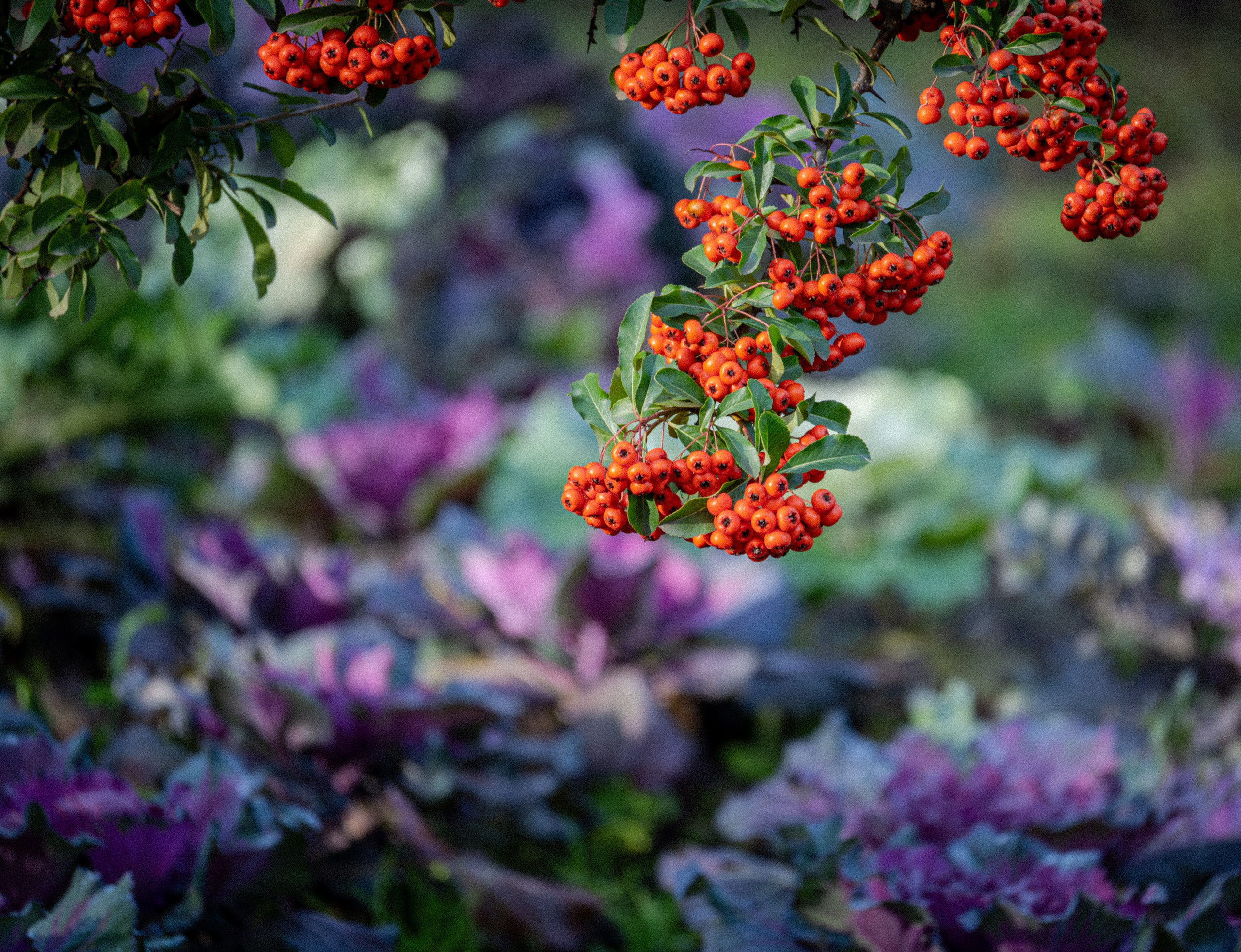 Окружение через объектив