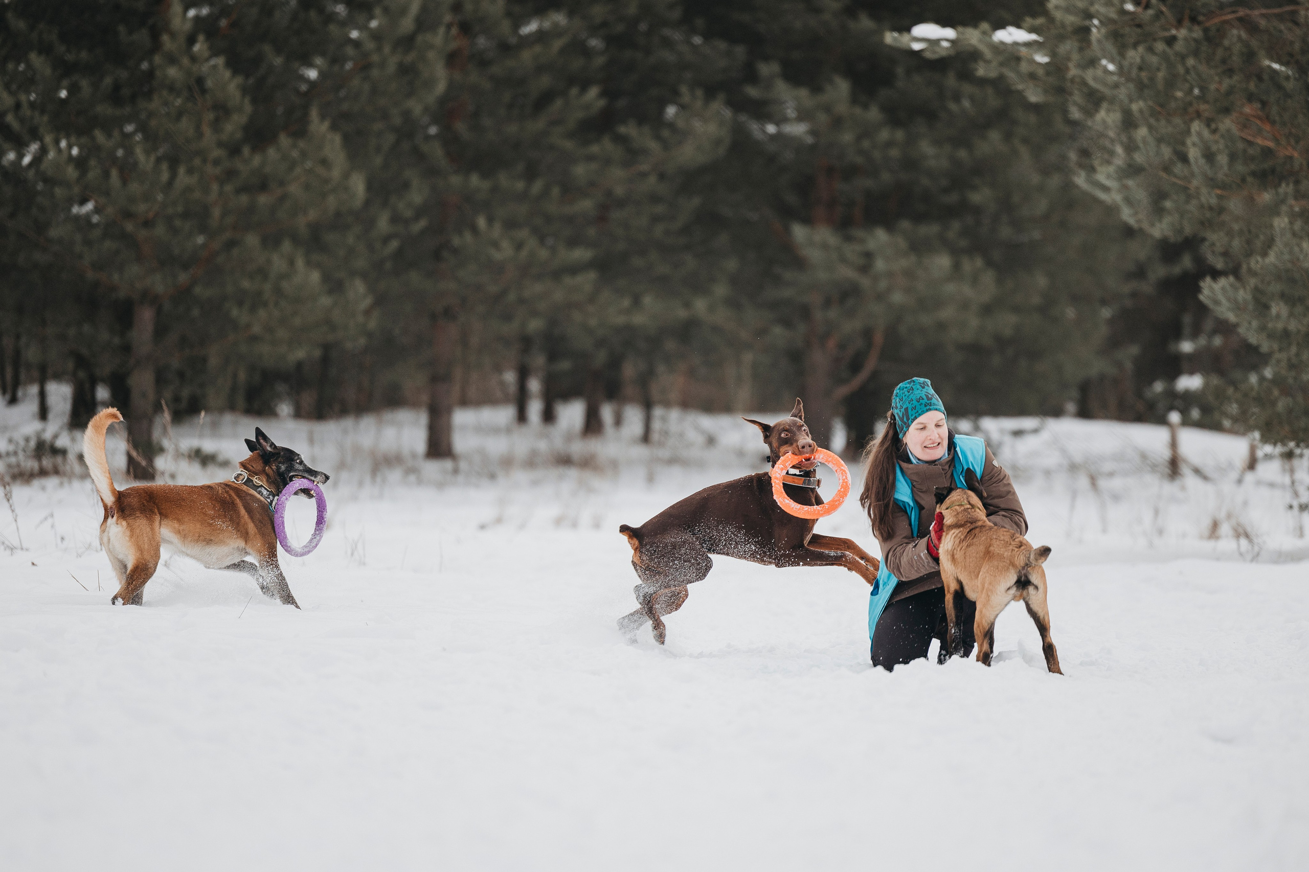 Даша, Омен, Айс и Рицу. Фотограф-анималист Анна Маринич
