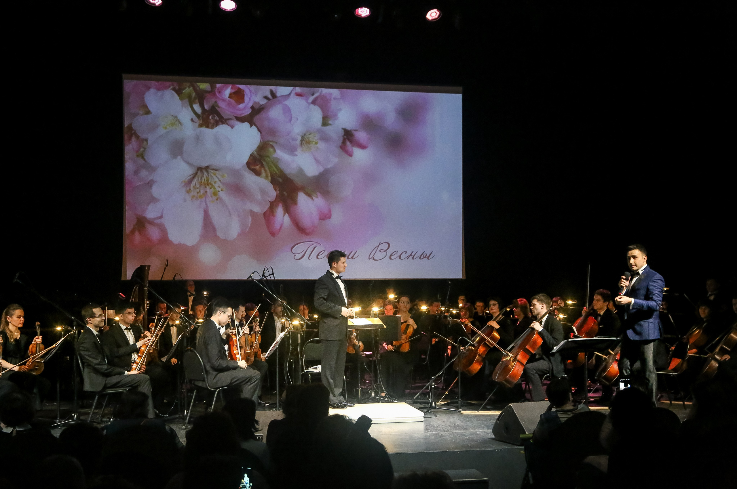 Концерт с Оркестром Минобороны. Дарья Письменюк / Darya Leitstern — фотограф, музыкант, журналист, путешественник