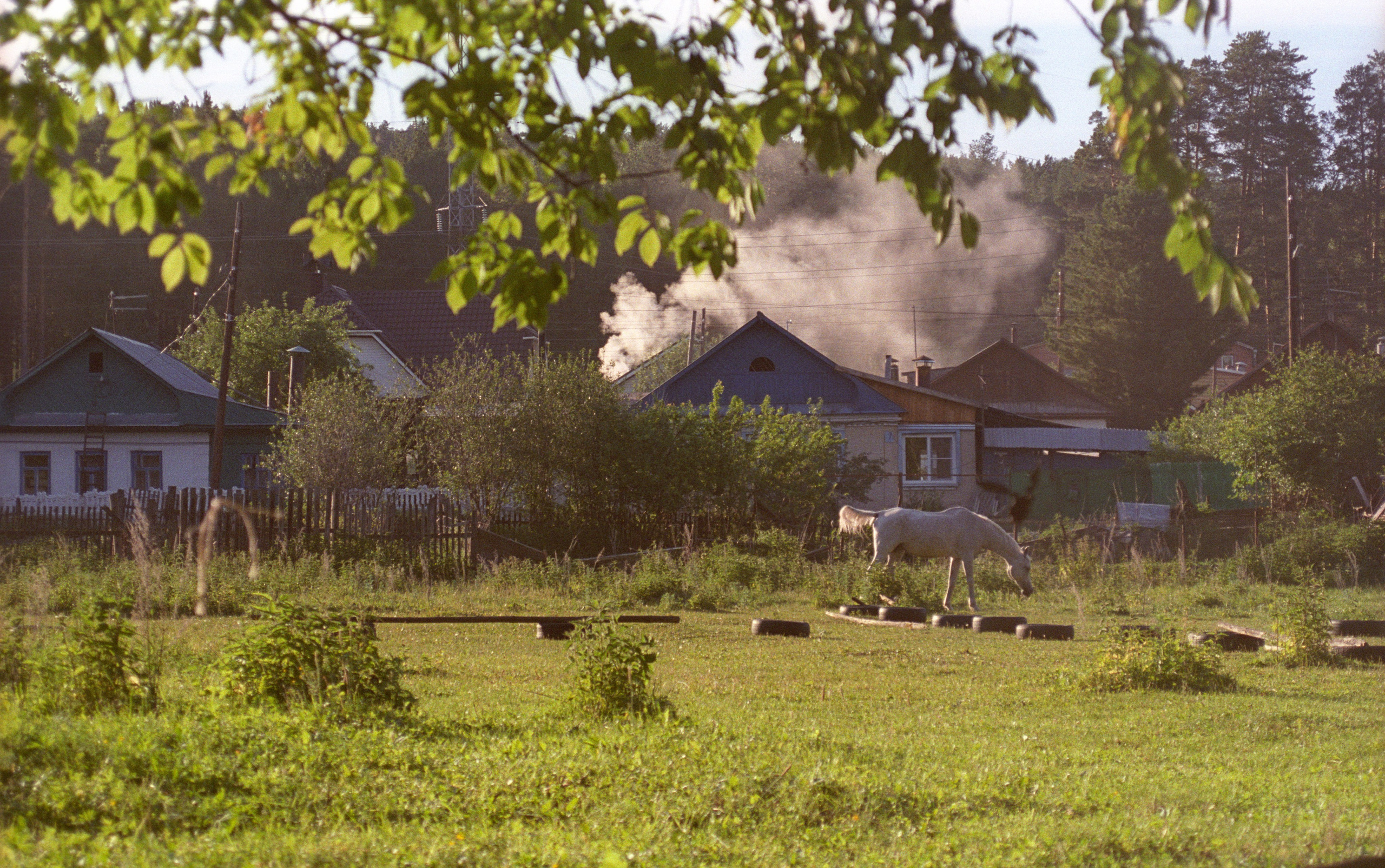 Лето в городе. Фотограф в Санкт-Петербурге Березовский Даниил