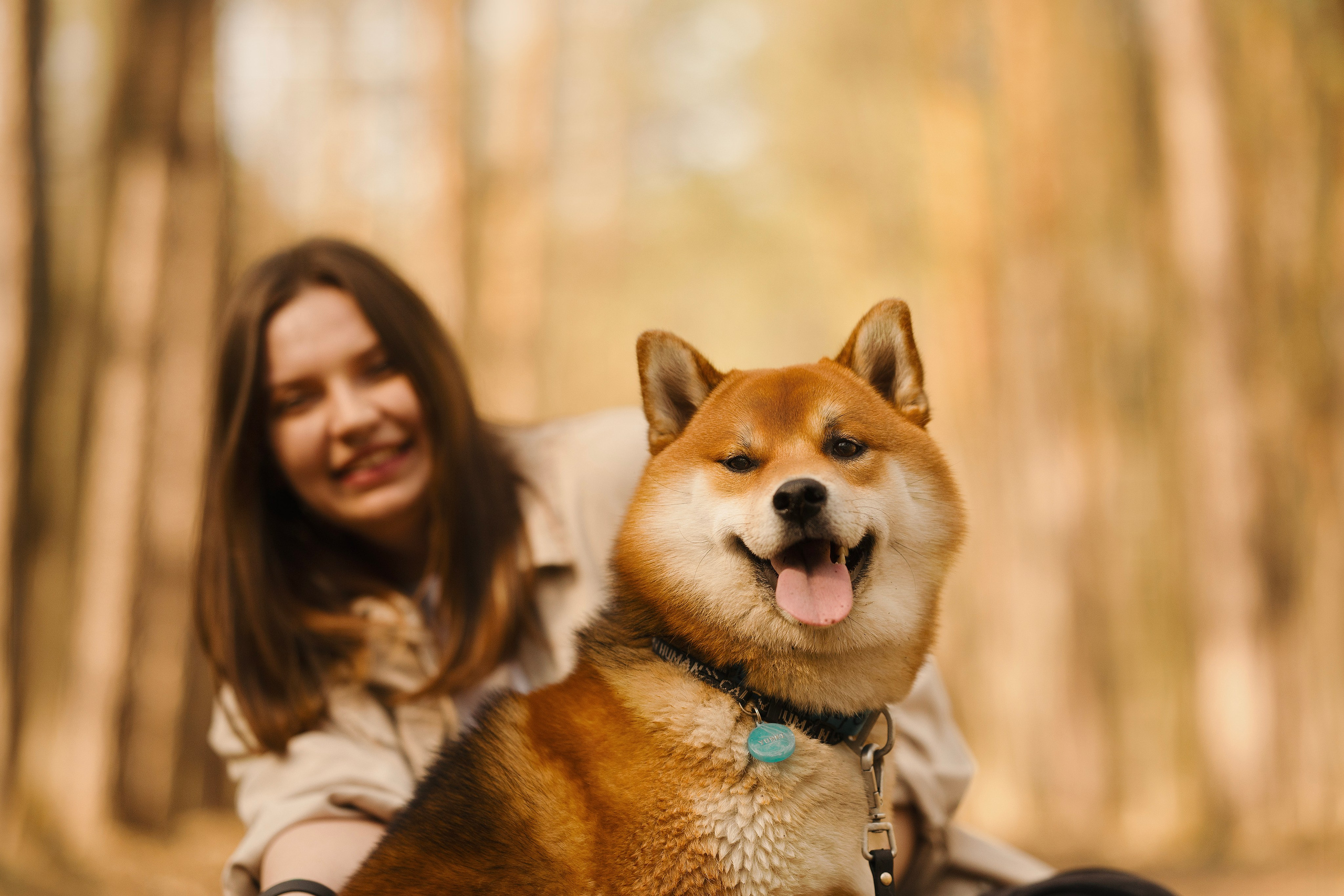 Юнки. Фотограф- анималист Александра Матвеева