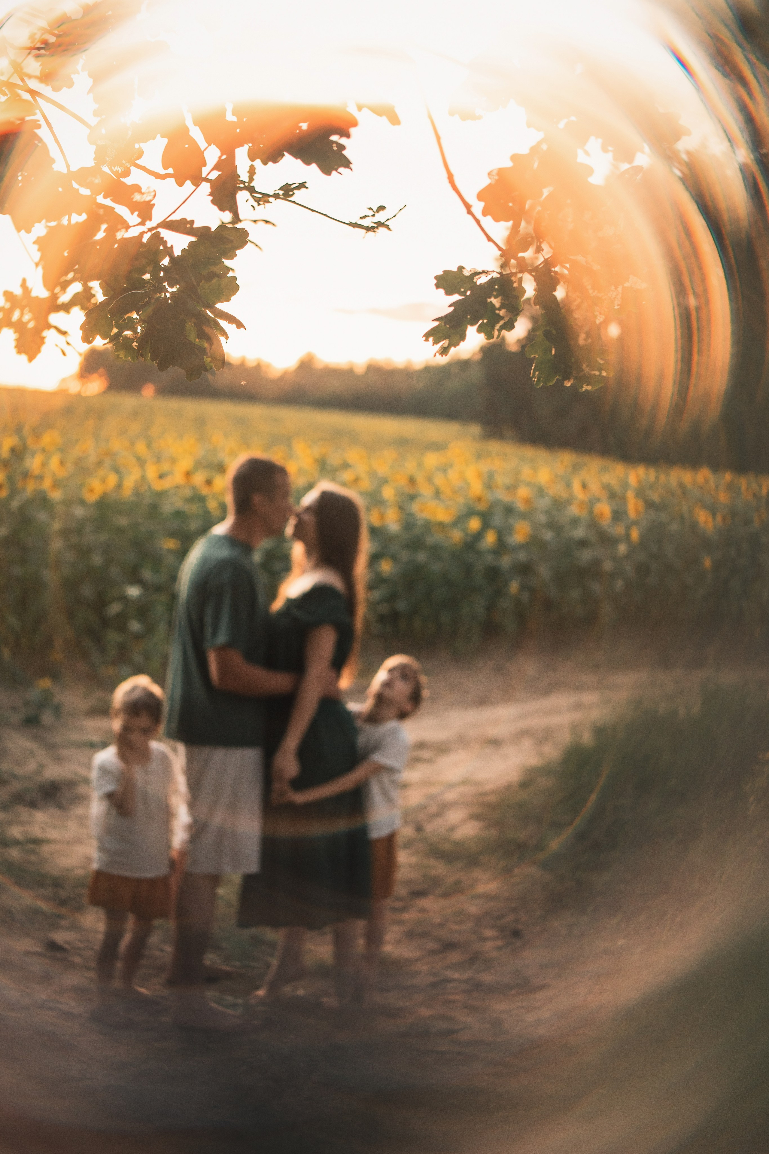 ПОДСОЛНУХИ. Семья Елизаветы. Фотограф Марта Козел. Гродно, Беларусь