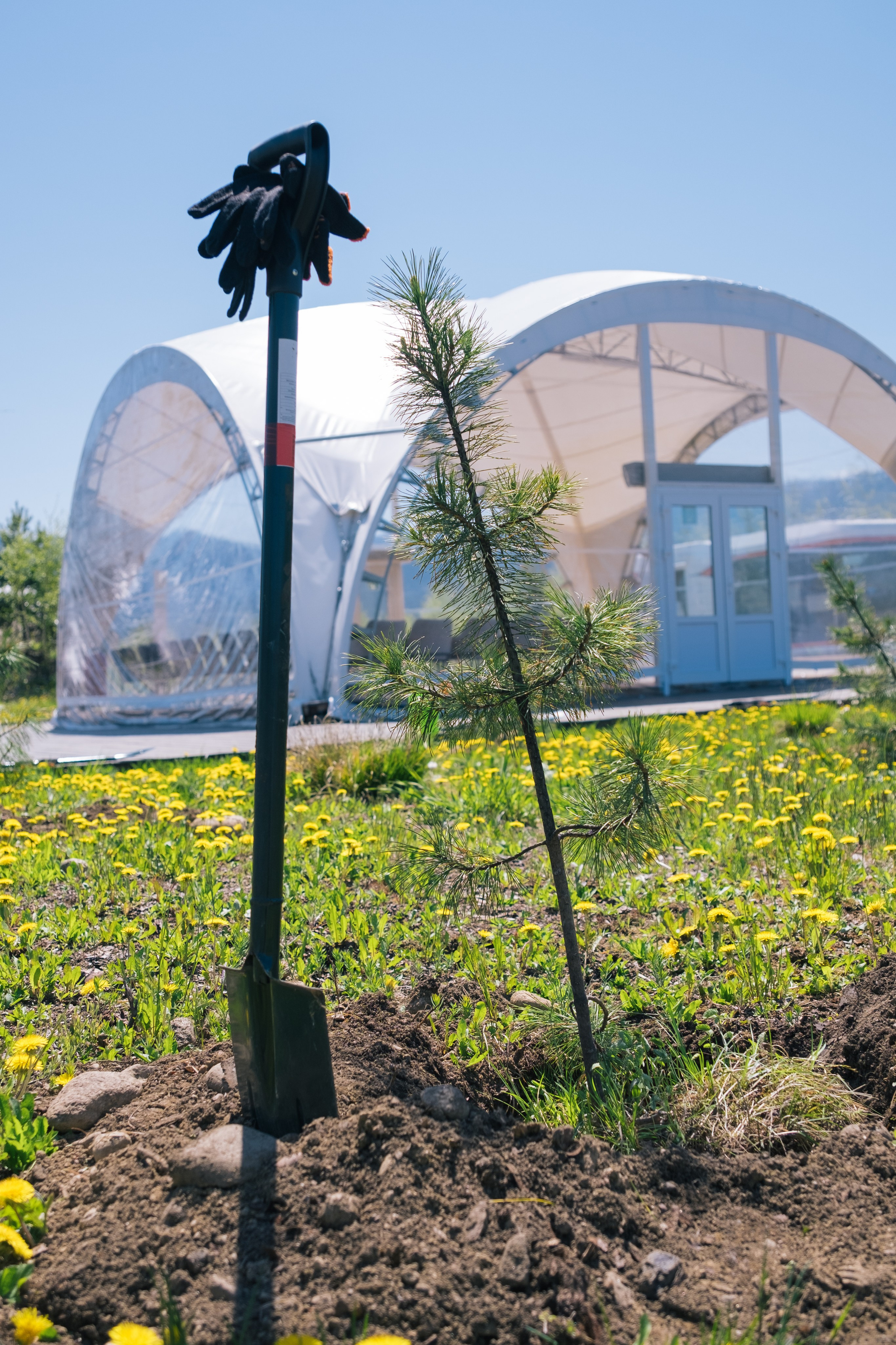 Экологический форум. Фотограф в Иркутске Анна Мирошникова