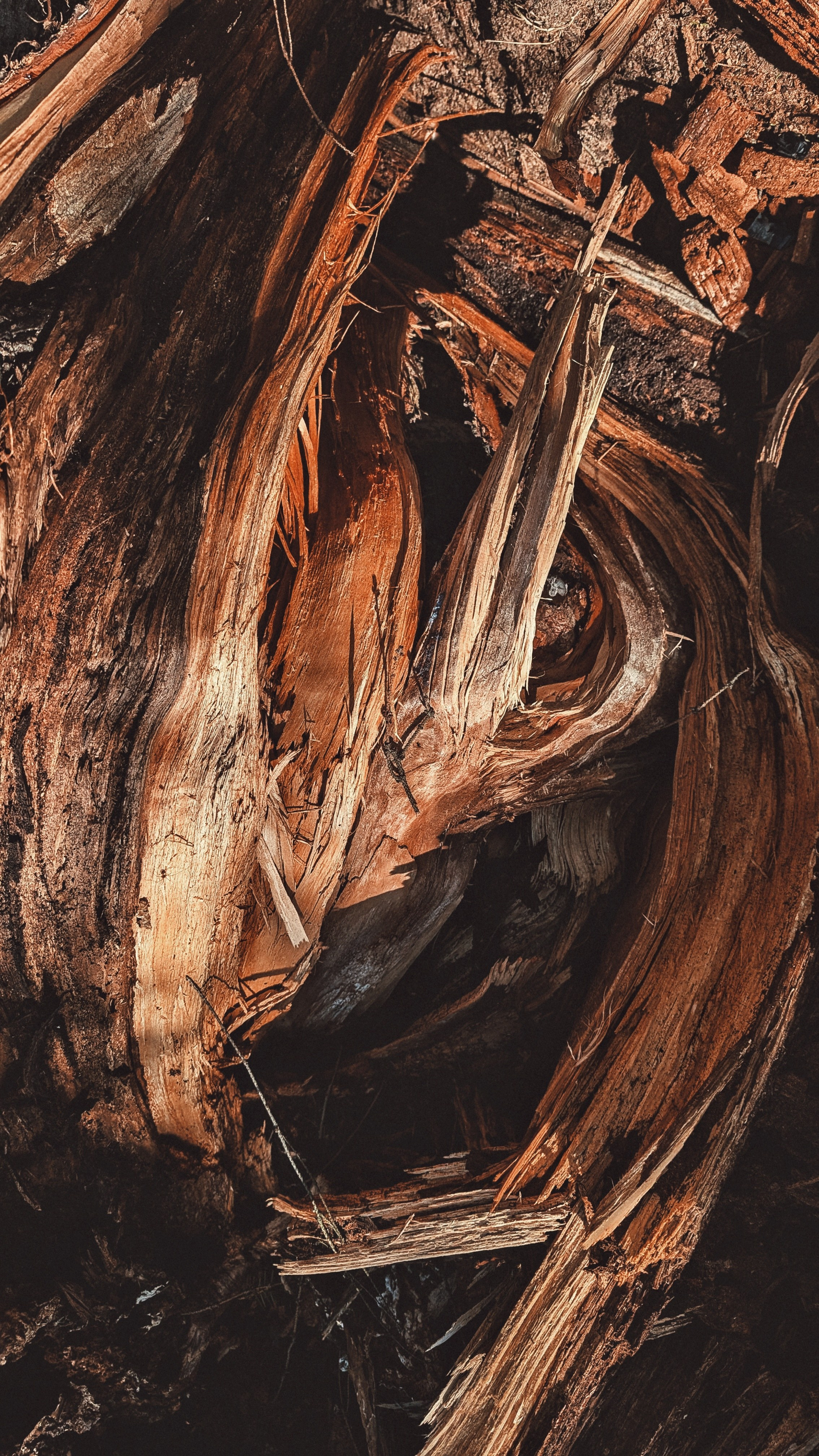 Вдохновение. Ph___tina