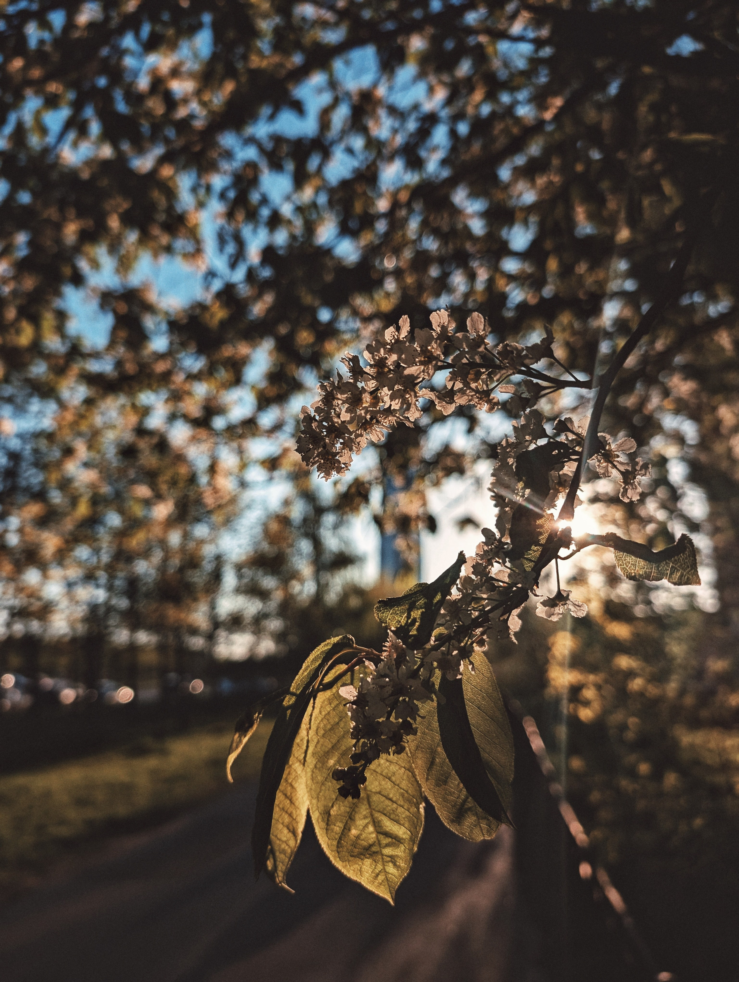 Вдохновение. Ph___tina