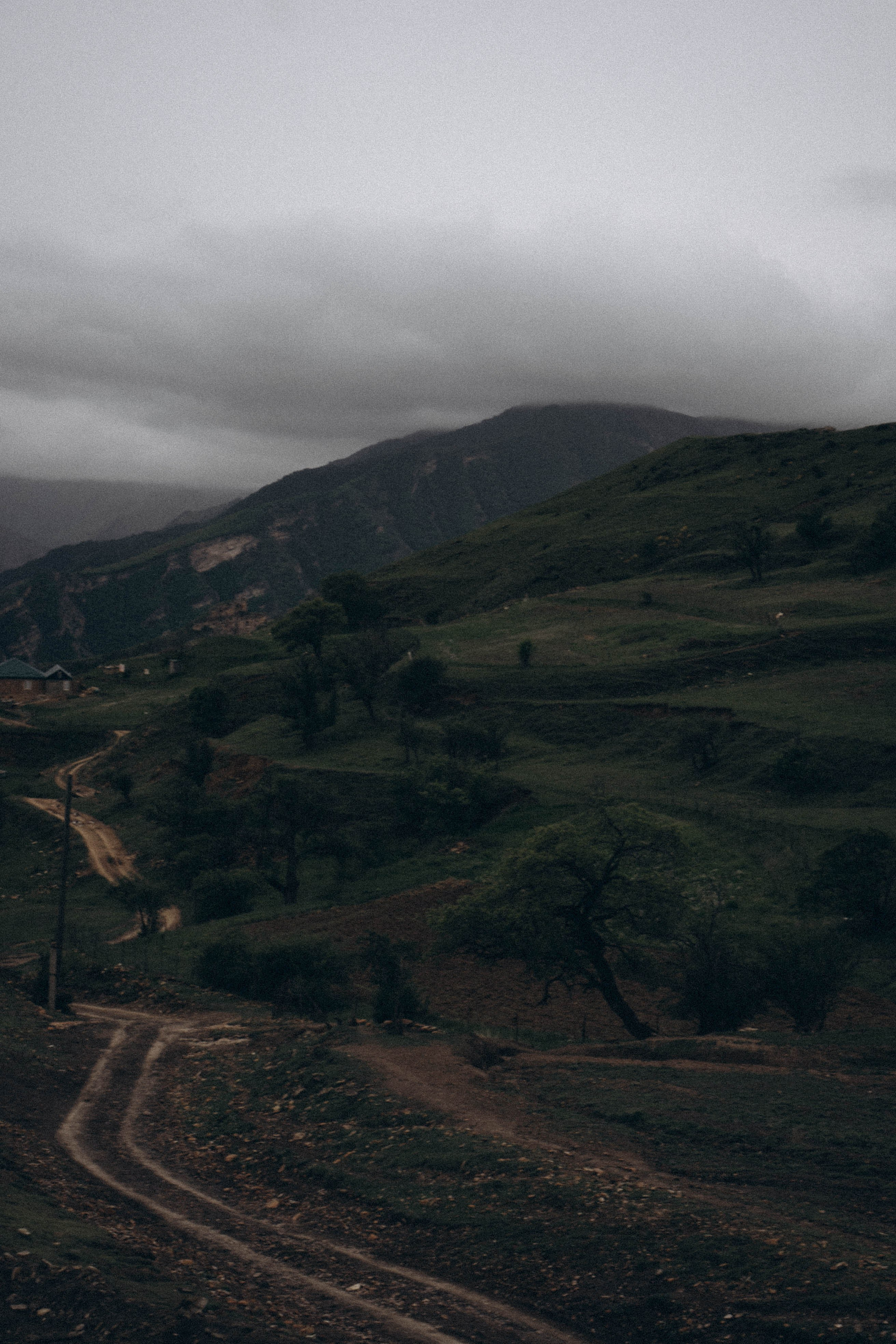 Кавказ. Профессиональный фотограф, Санкт-Петербург — Виктория Богомолова
