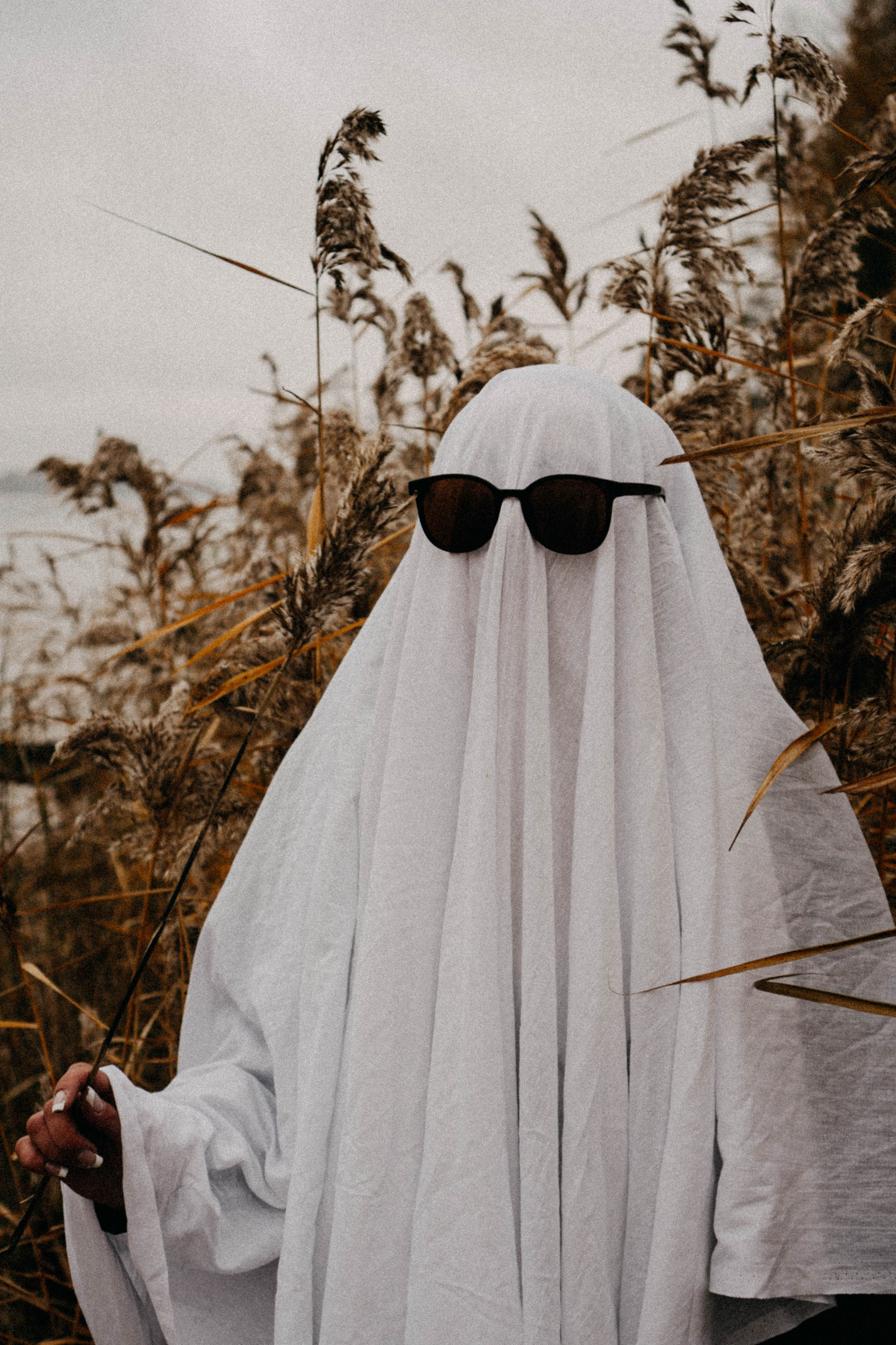 Осеняя. Профессиональный фотограф, Санкт-Петербург — Виктория Богомолова