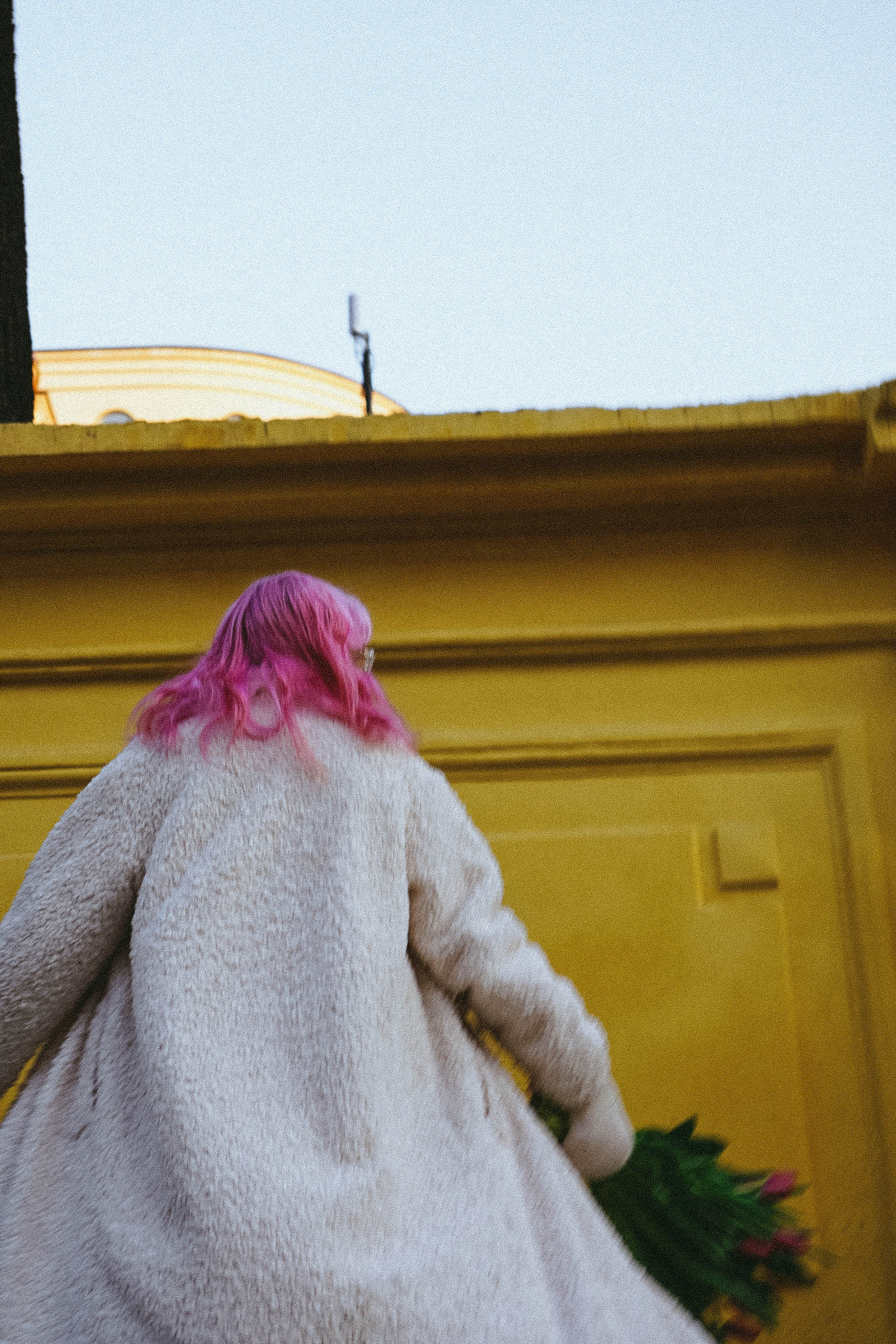 Тюльпаны. Профессиональный фотограф, Санкт-Петербург — Виктория Богомолова