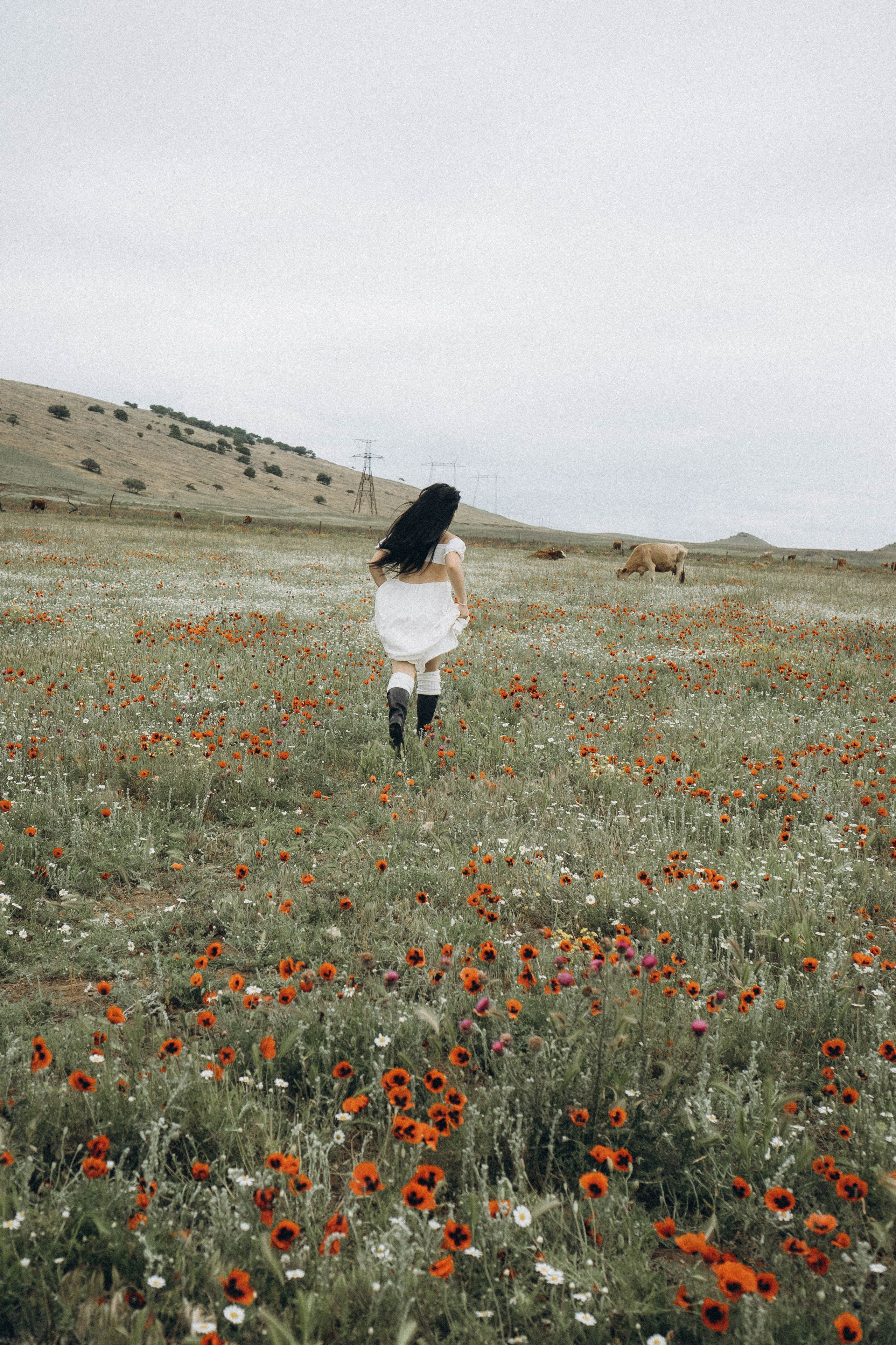 Маковое поле. Профессиональный фотограф, Санкт-Петербург — Виктория Богомолова