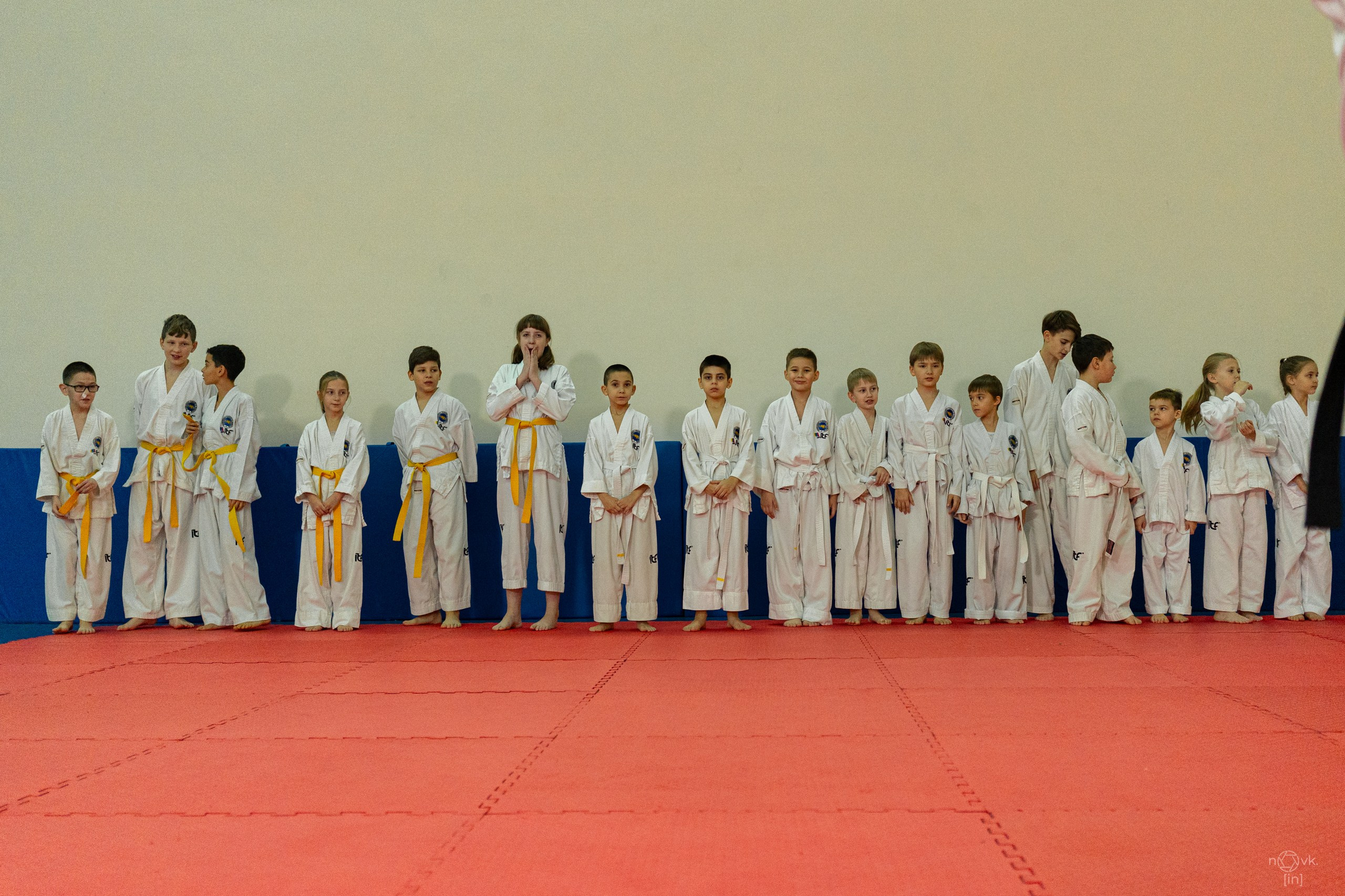 Аттестация Тхэкво. ФОТОГРАФ ИВАН НОВИКОВ | СТАВРОПОЛЬ