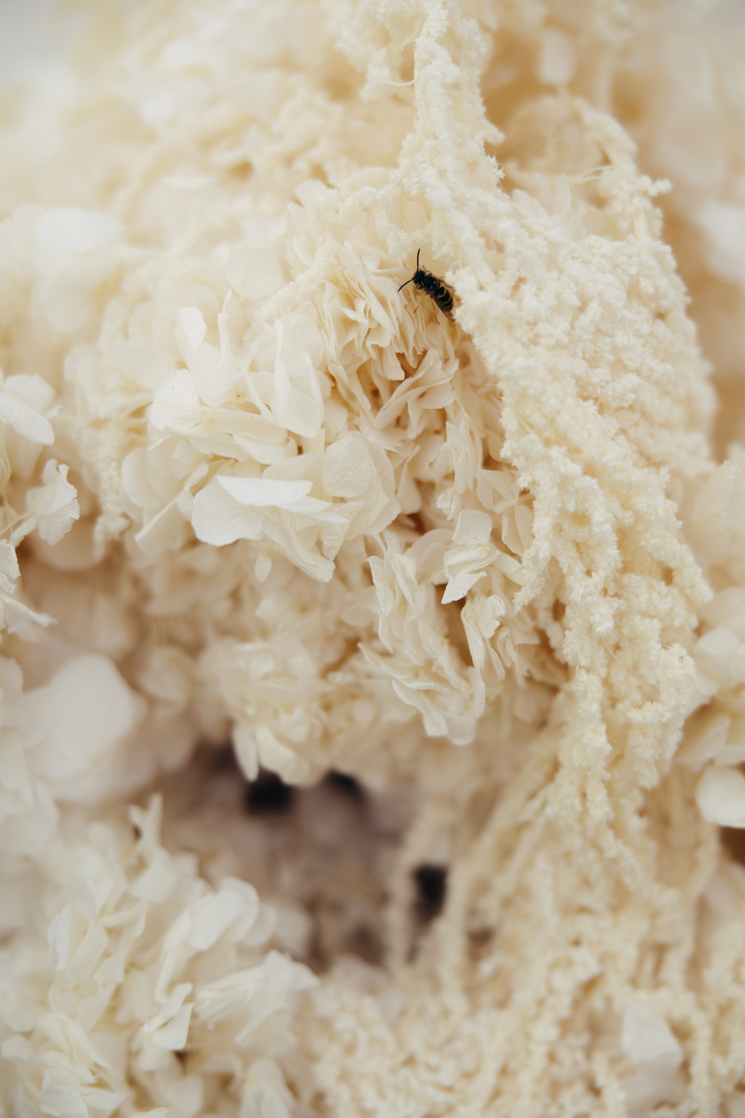 Таня и Тимур, утренние сборы в квартире и свадебный ужин. Фотограф любви в городе Казань