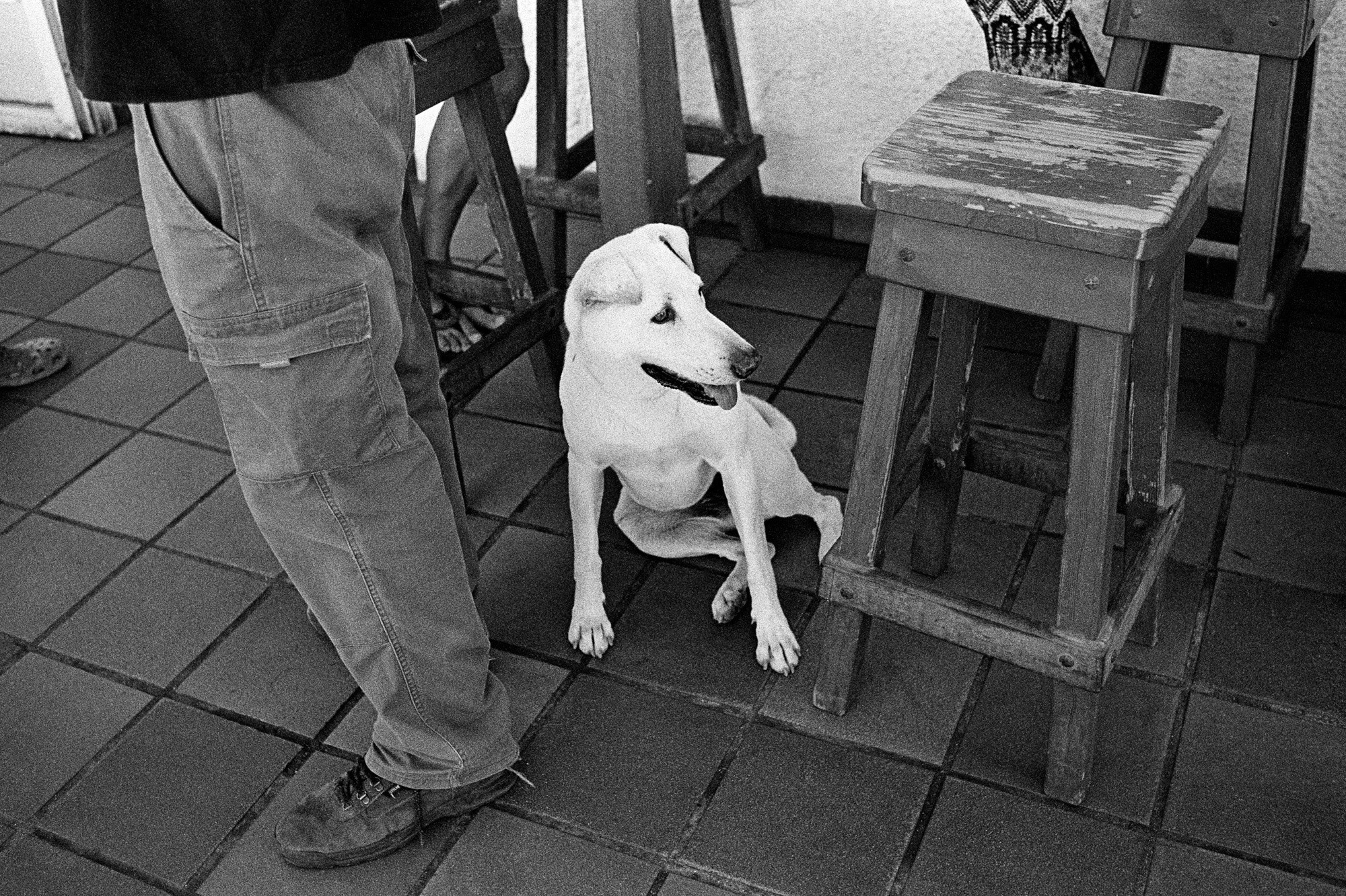 Memories of Spain. Документальный фотограф Алексей Мякишев, Москва