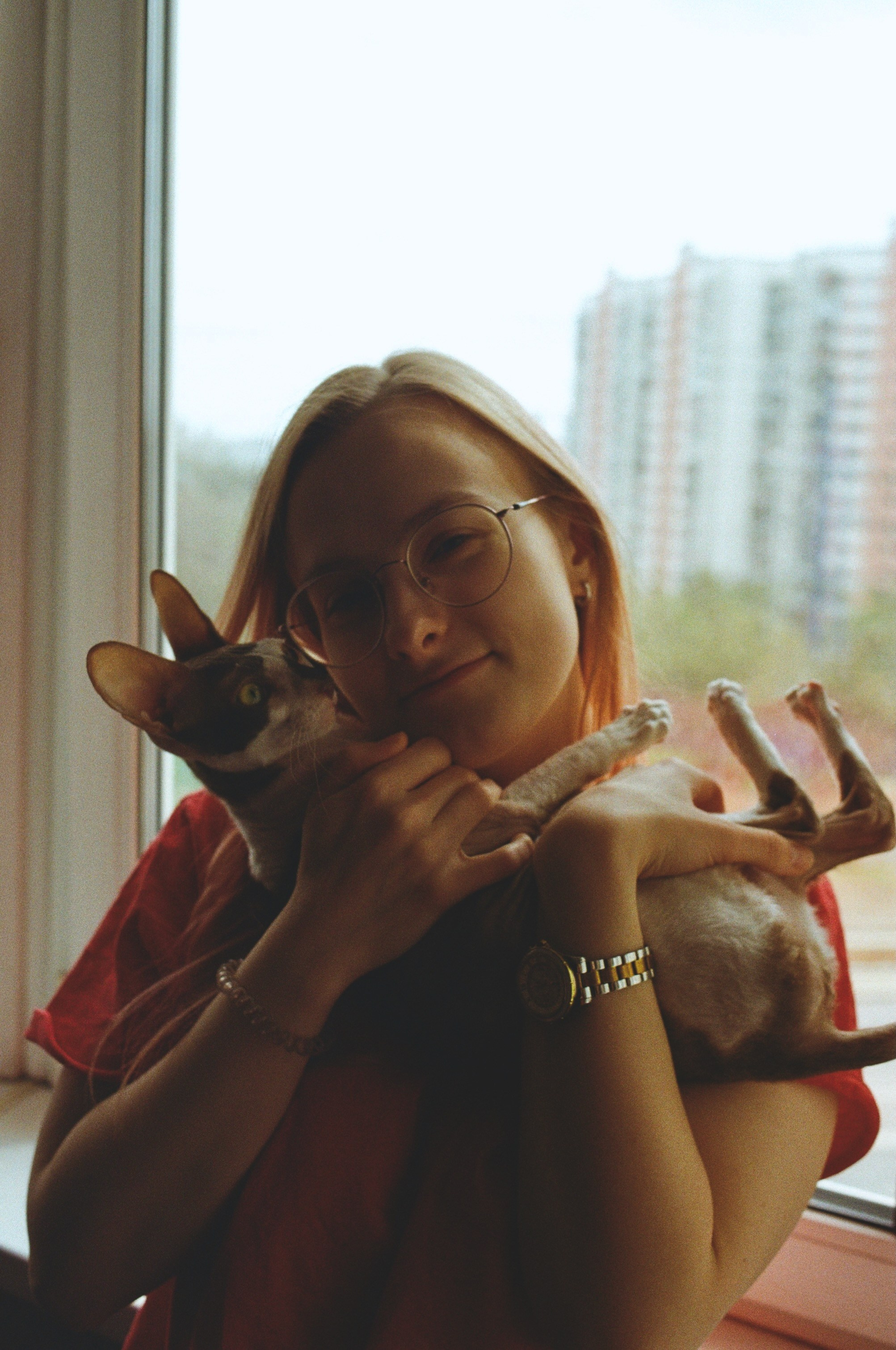 Film. Ruslan UI Dev Page