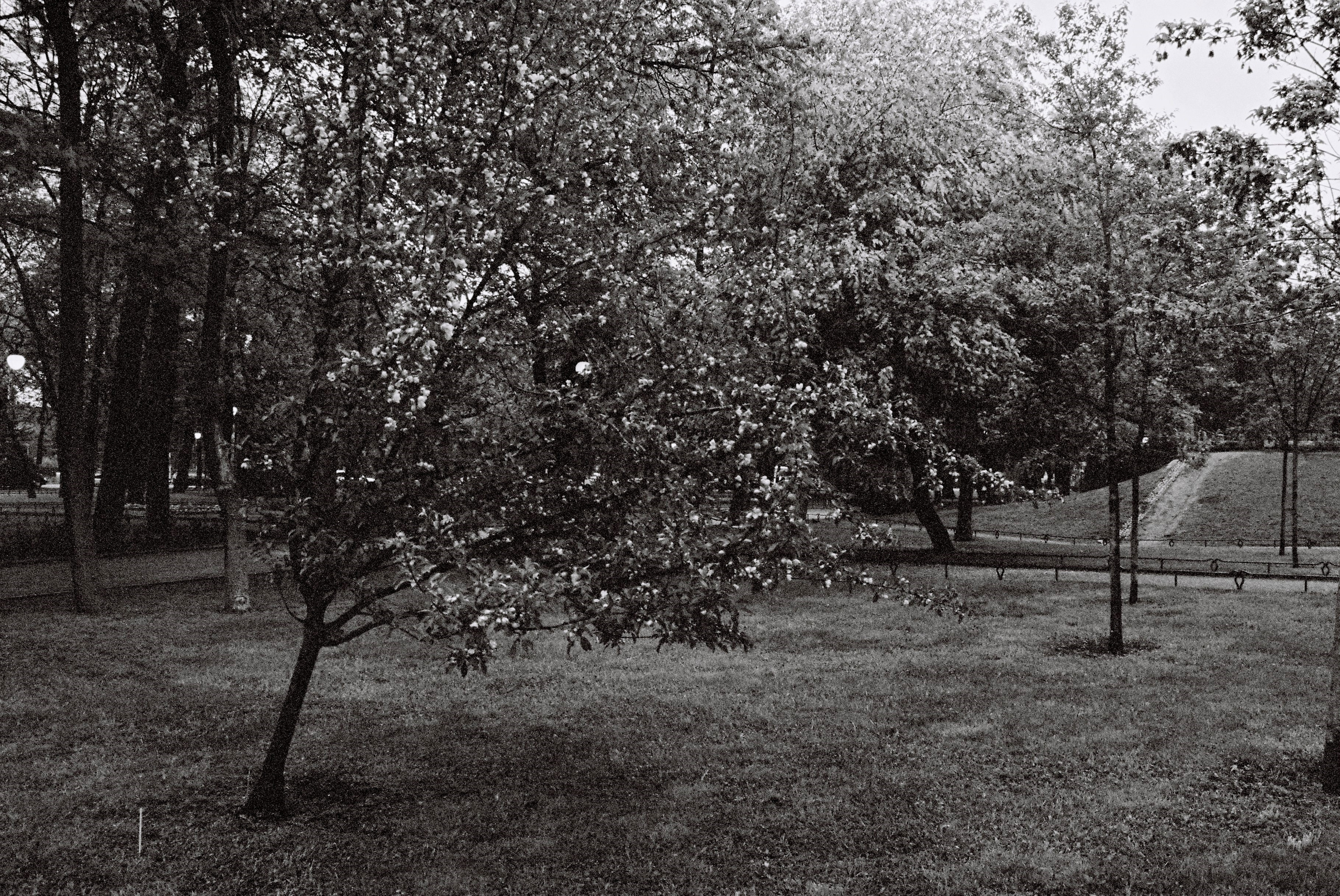 Film. Ruslan UI Dev Page