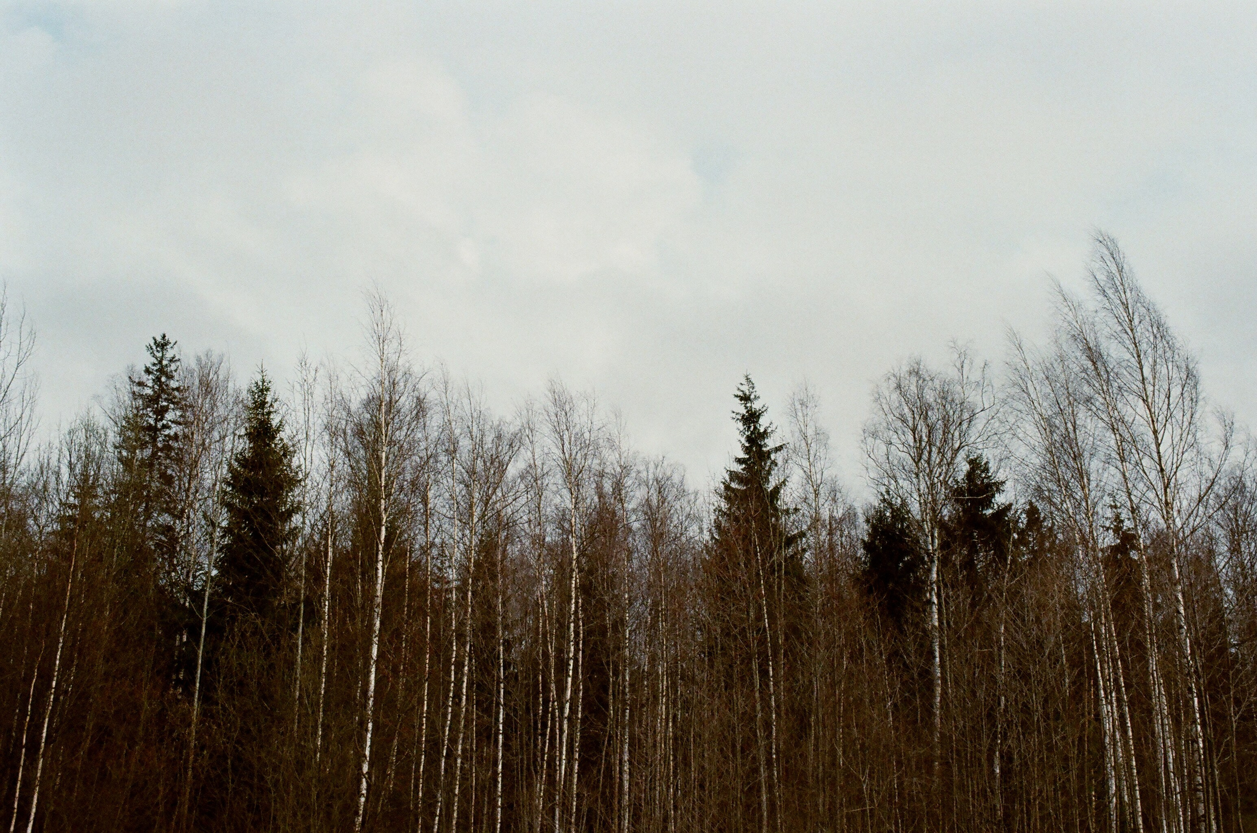 Film. Ruslan UI Dev Page