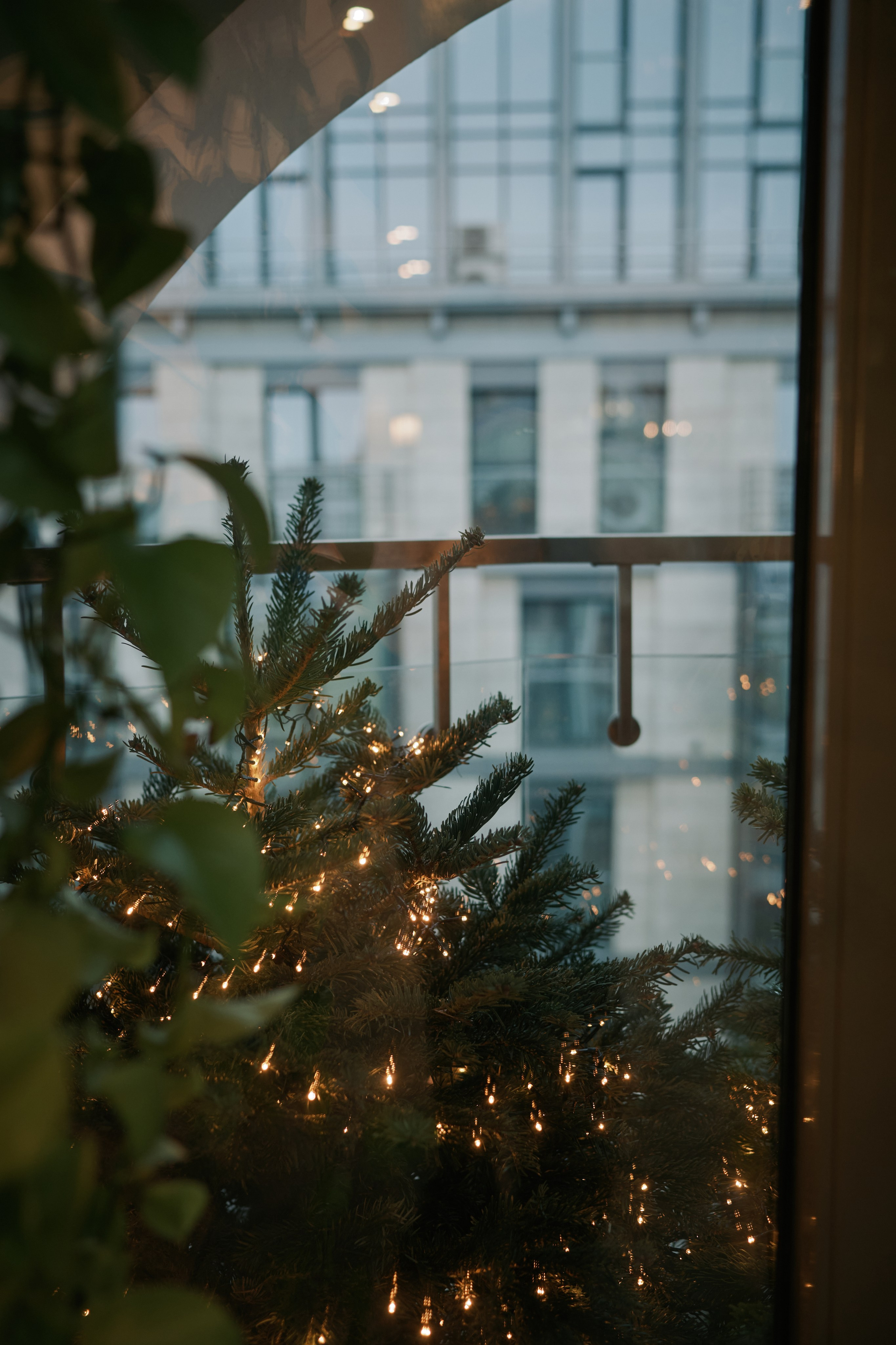 Аня и Дима. Фотограф в Санкт-Петербурге | Аня Маленчук