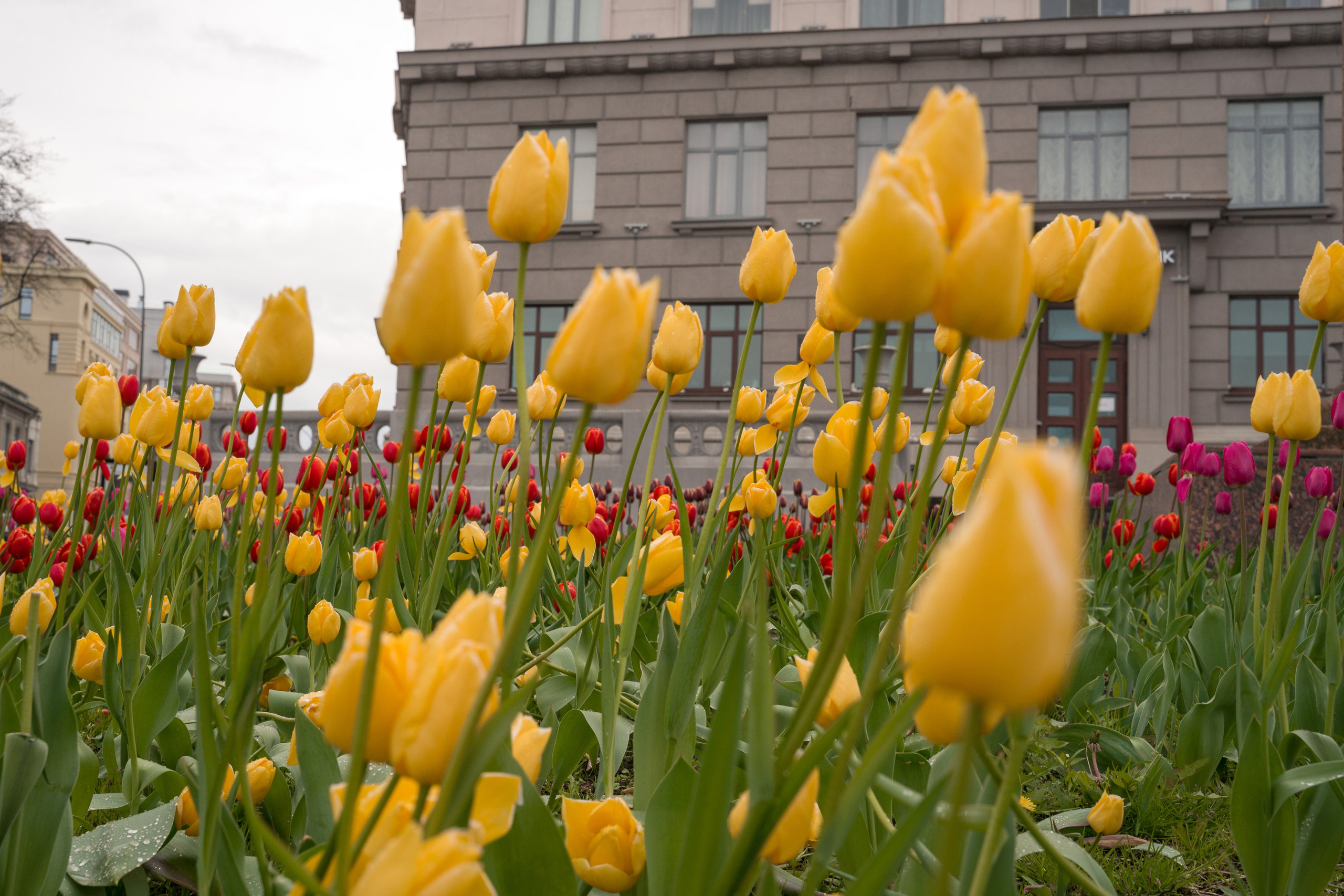 Нижний Новгород. Контент-фотограф в Нижнем Новгороде Антошина Ольга