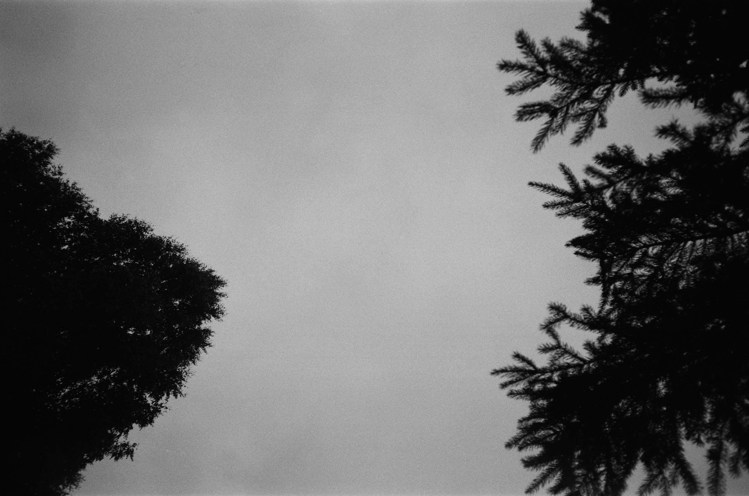 Чб пленка. Событийный фотограф в Москве Юлия Папиянц