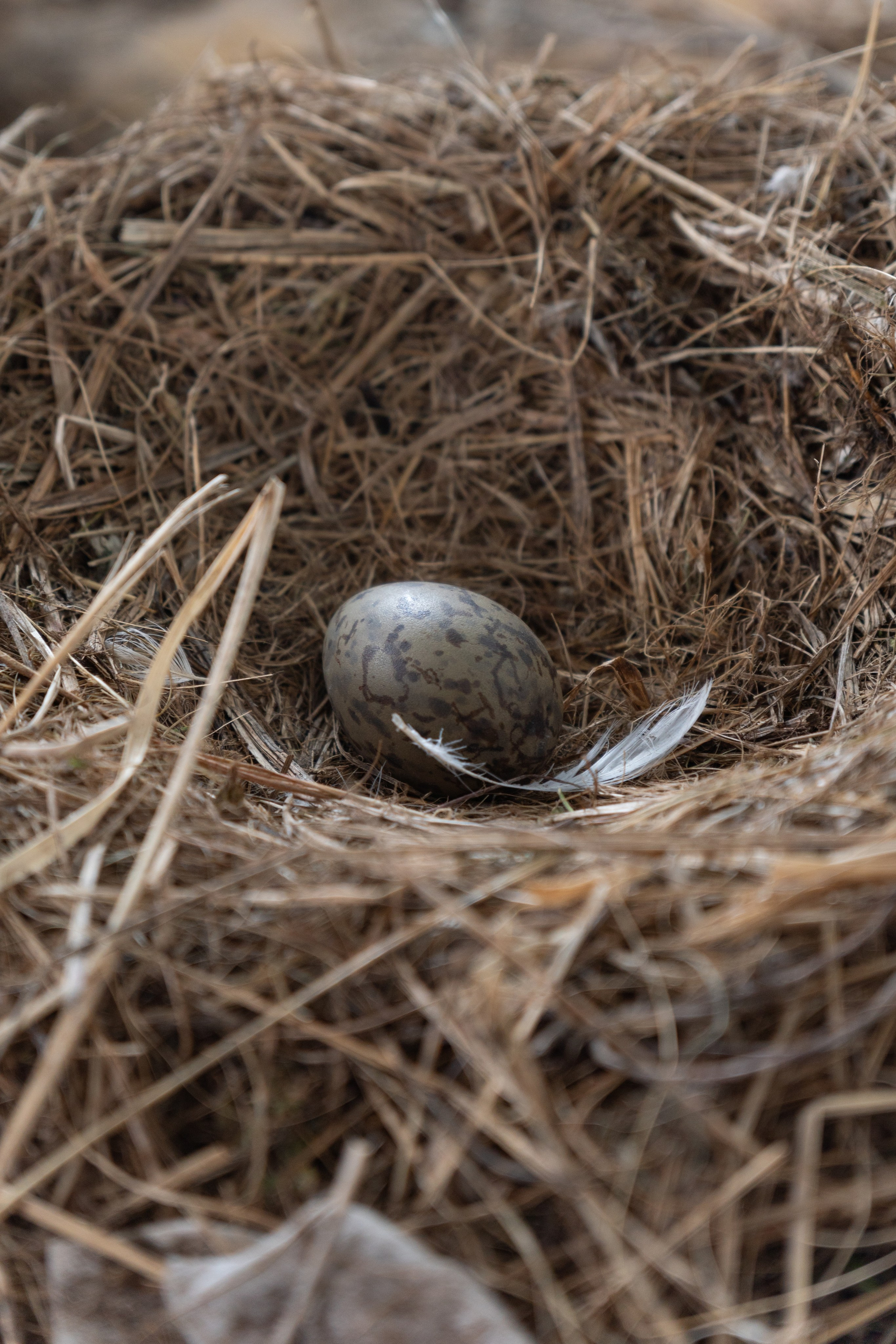 Сахалин. Gusarov Travel Photography