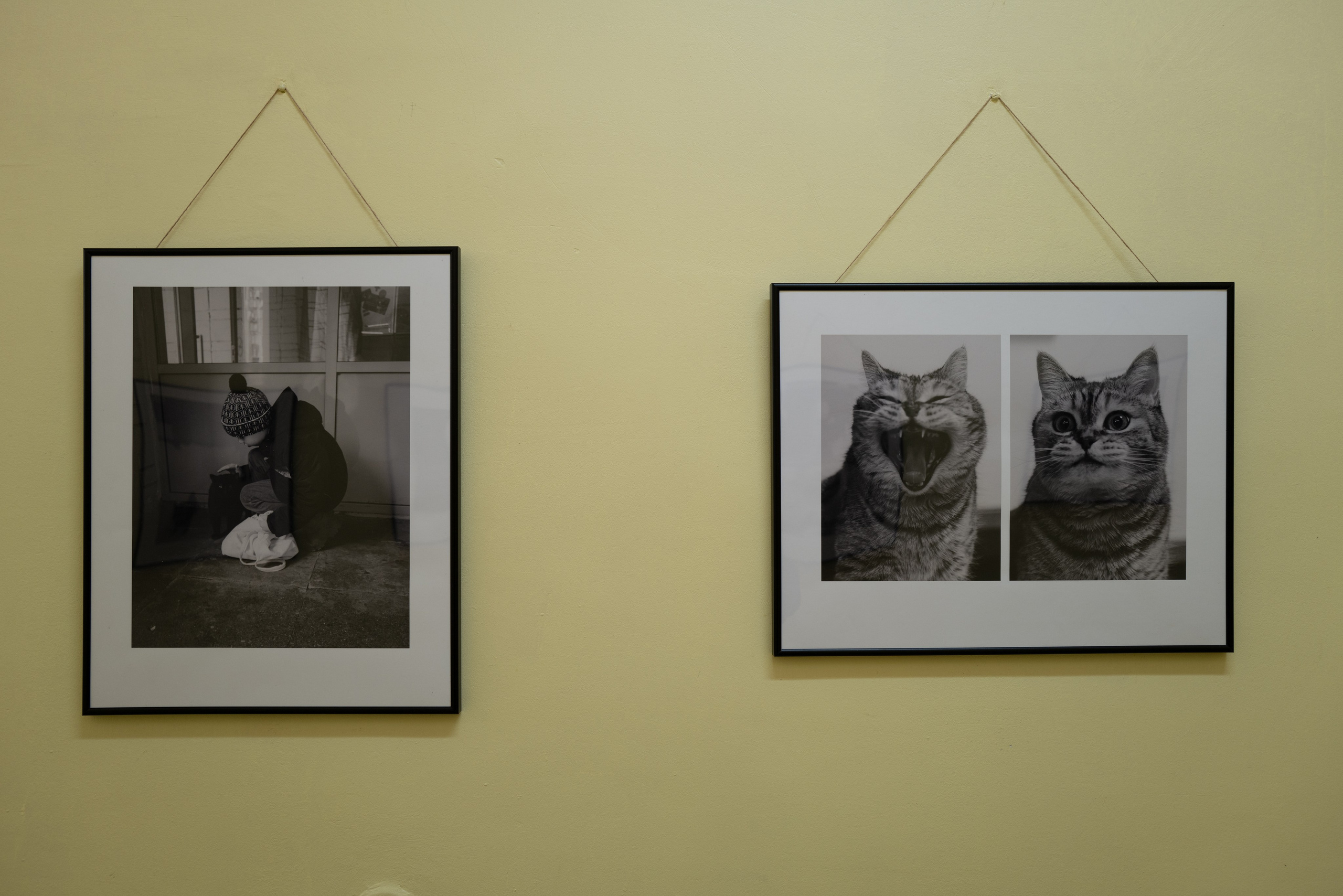 Выставка 01.04.2025. Фотограф Александр Тихонов