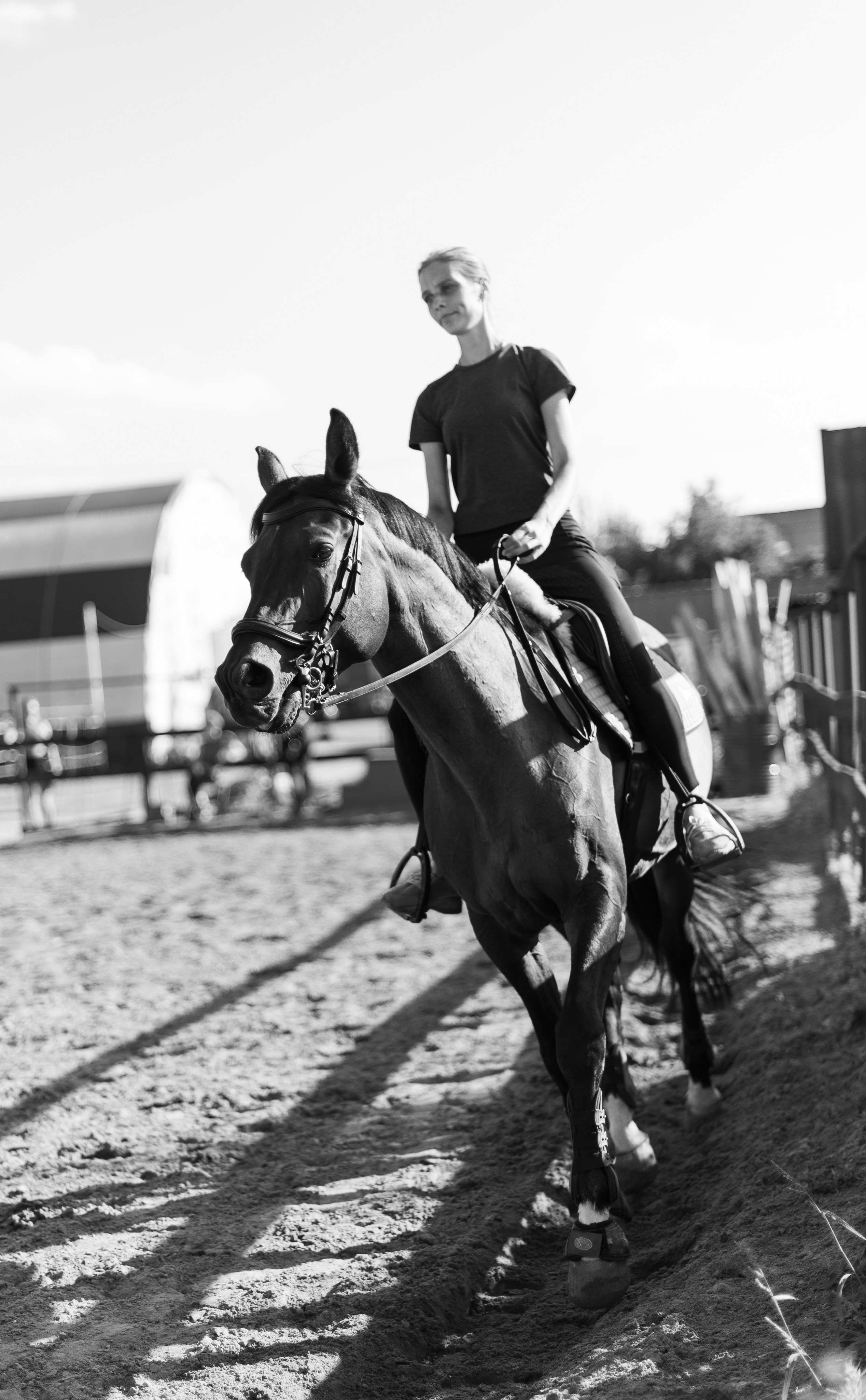 Анималистика Конный клуб ЧБ. Victoria Radjevna Репортажный Фотограф — Видеограф Москва • Санкт-Петербург