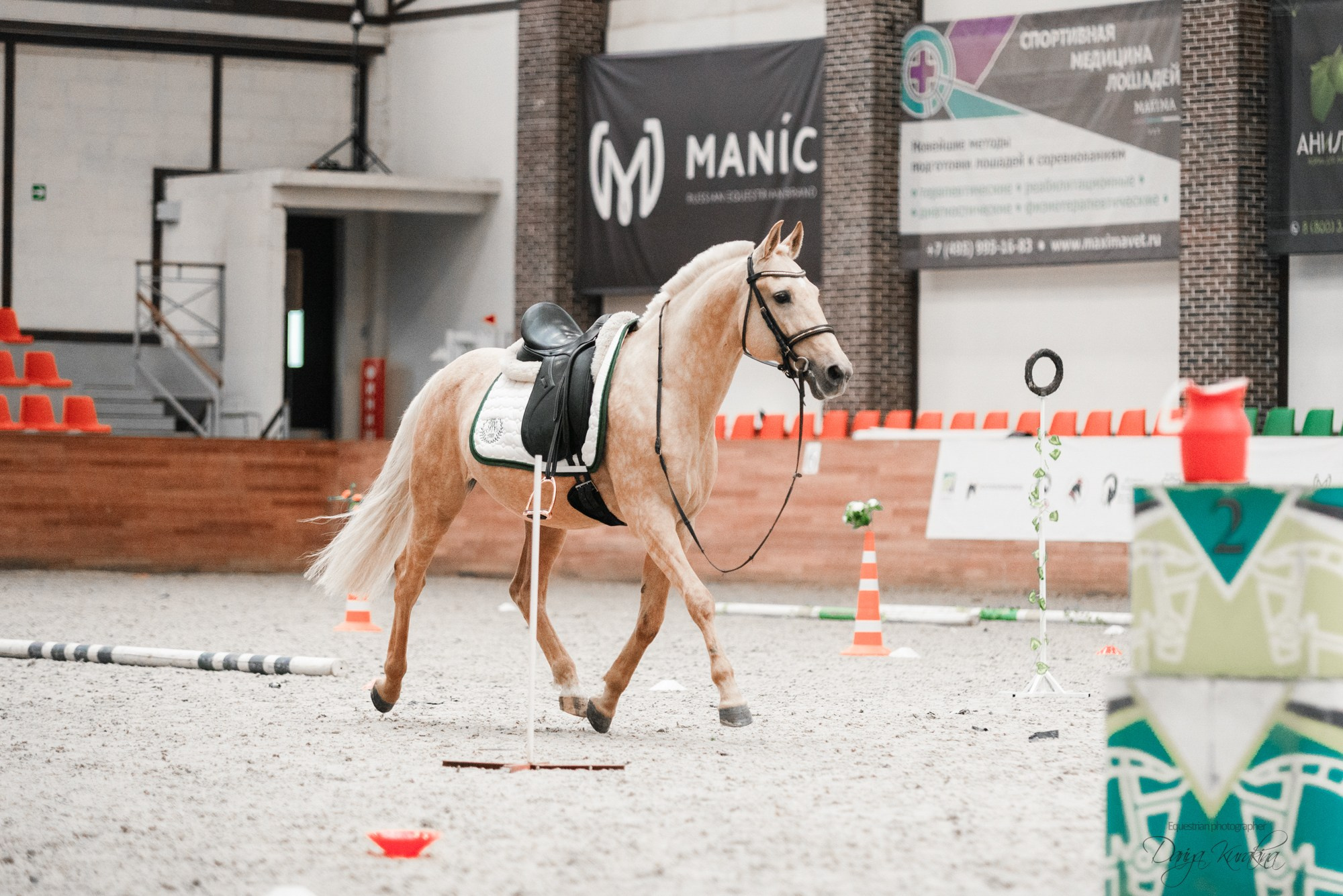 8-я международная выставка Конная Россия. Конный фотограф Куракина Дарья • Фотосессии с лошадьми