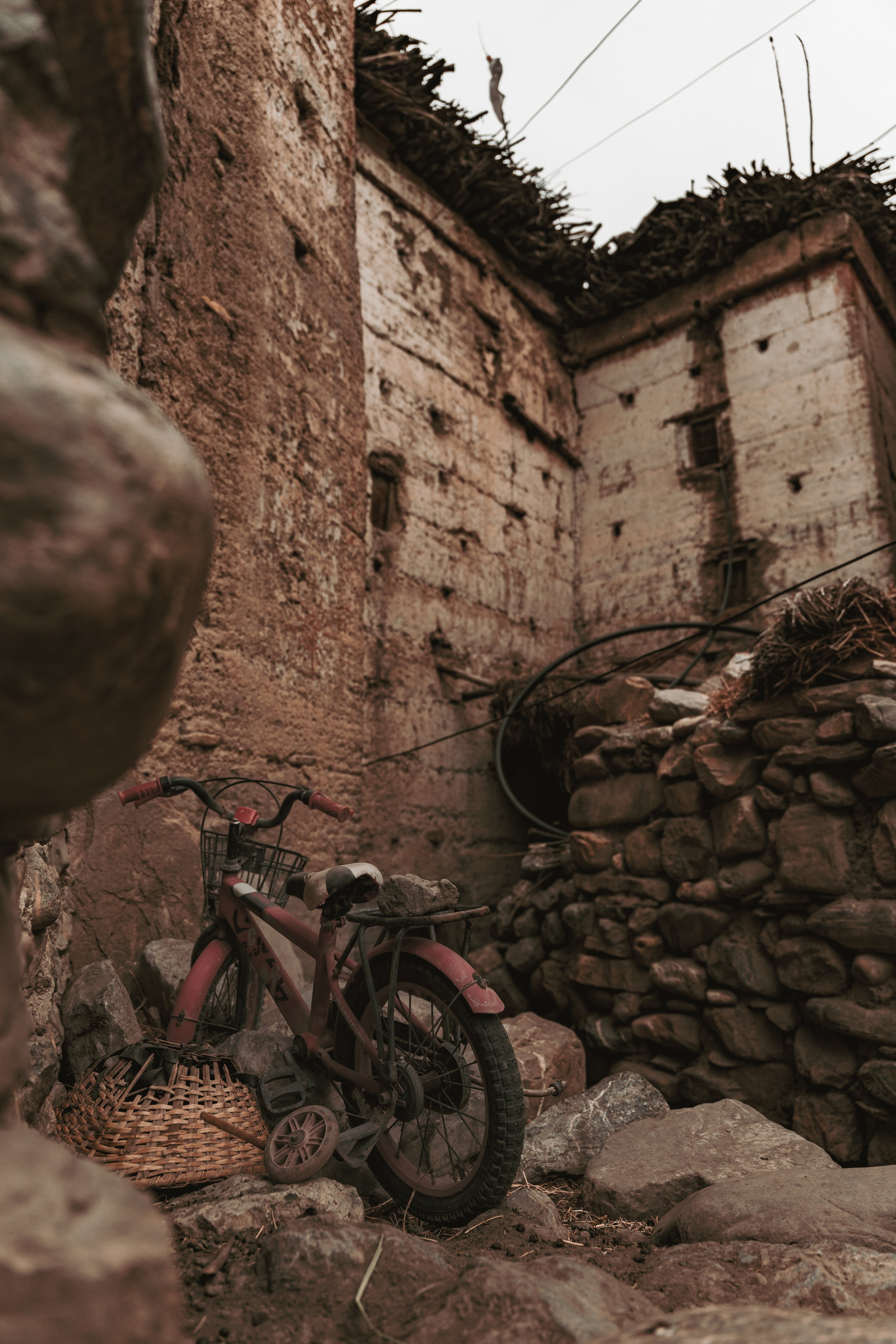 Королевство Мустанг. Dmitry Ippolitov