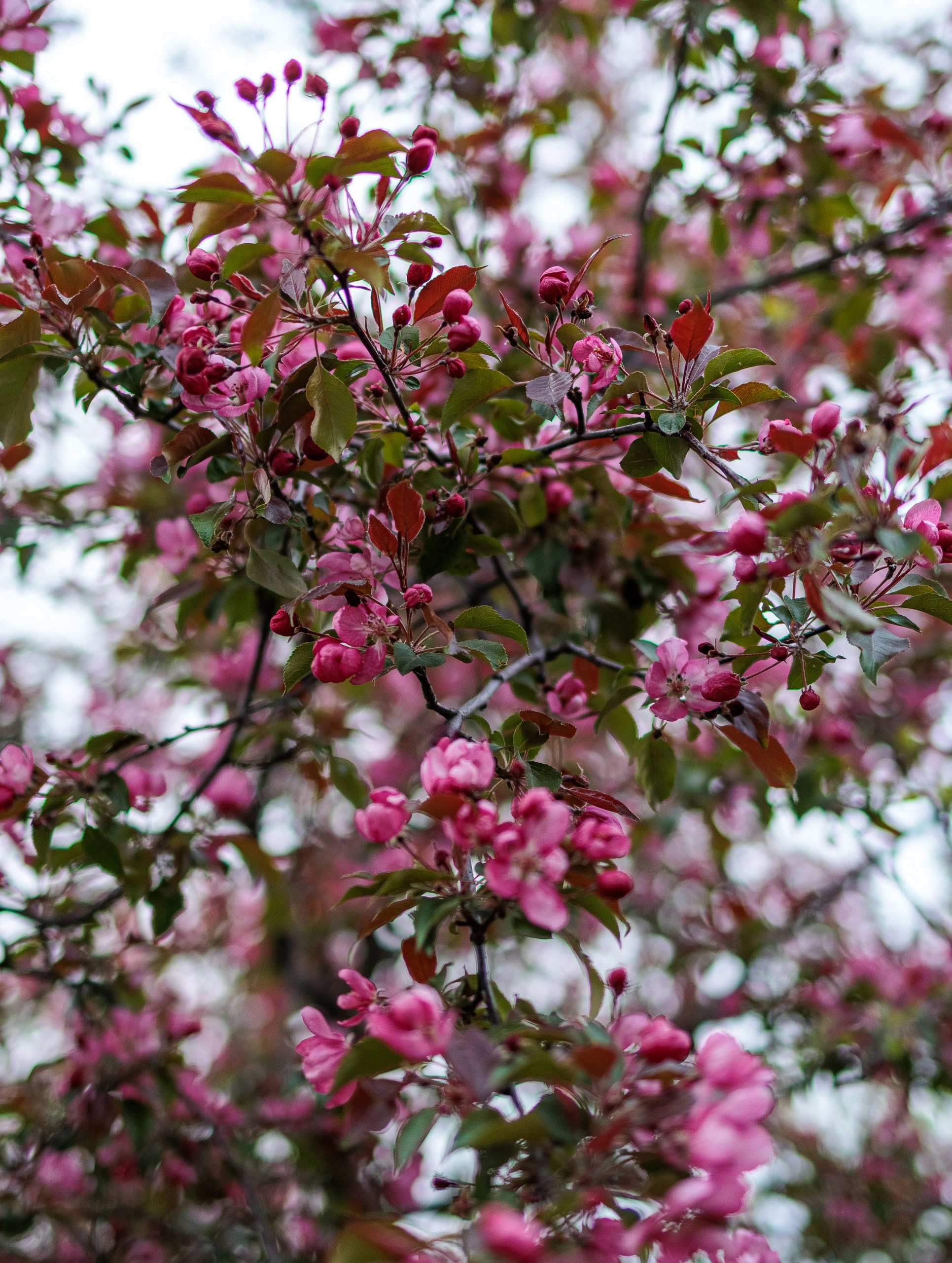 Фотоальбом с красивыми девушками (Часть 8)