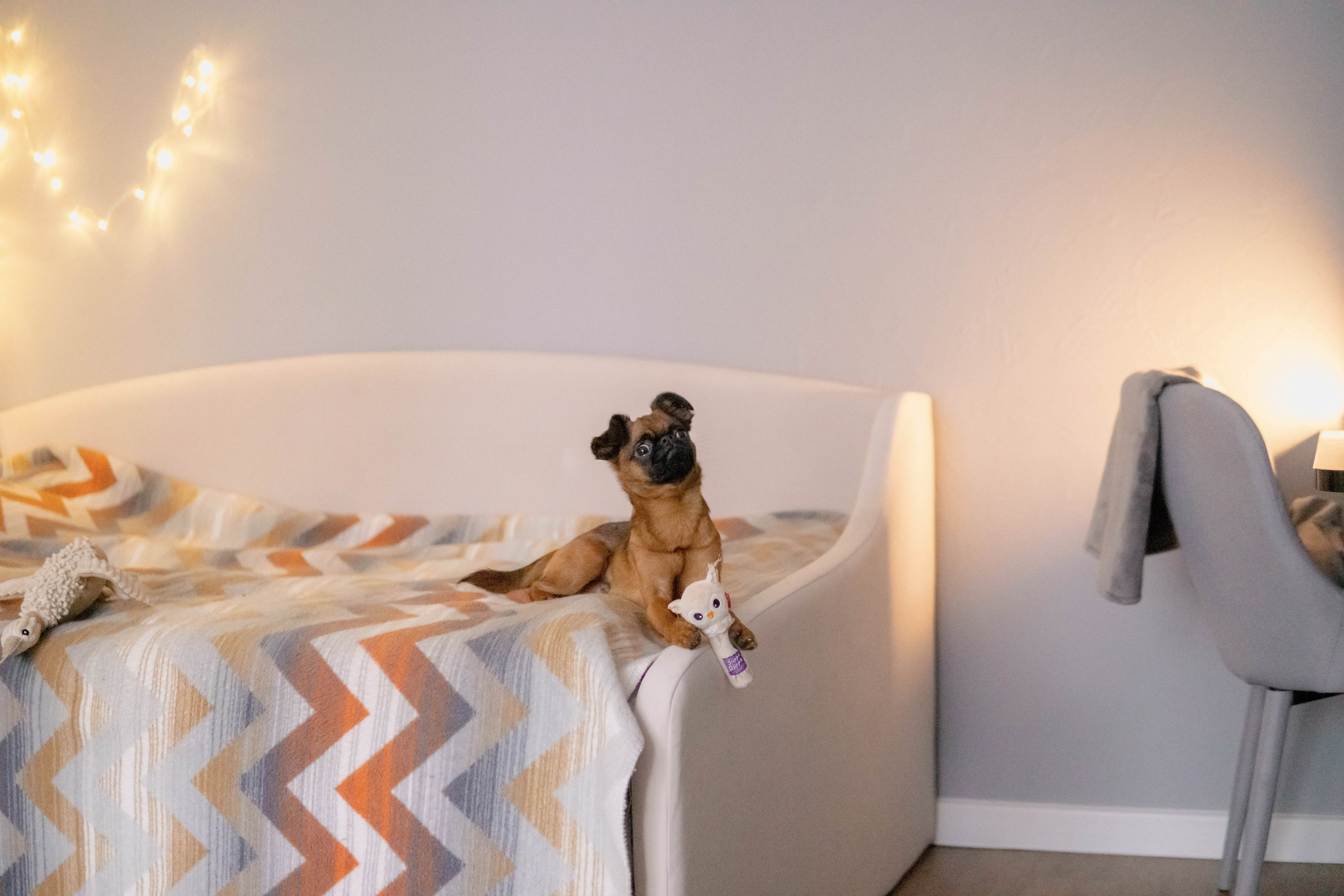 Надя и Ефим. Фотограф-анималист Ксения Воробьева, Москва