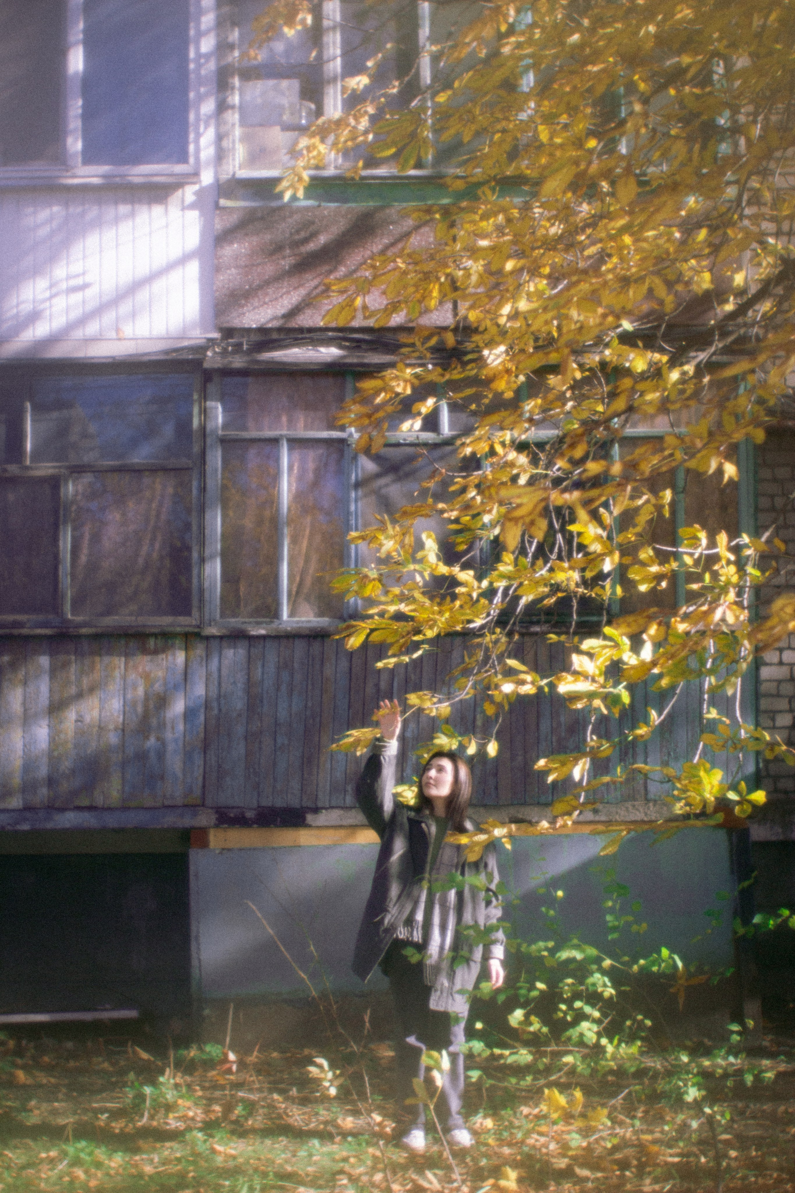 Аромат осеннего света. • Фотограф Александра Светозар Алчевск •